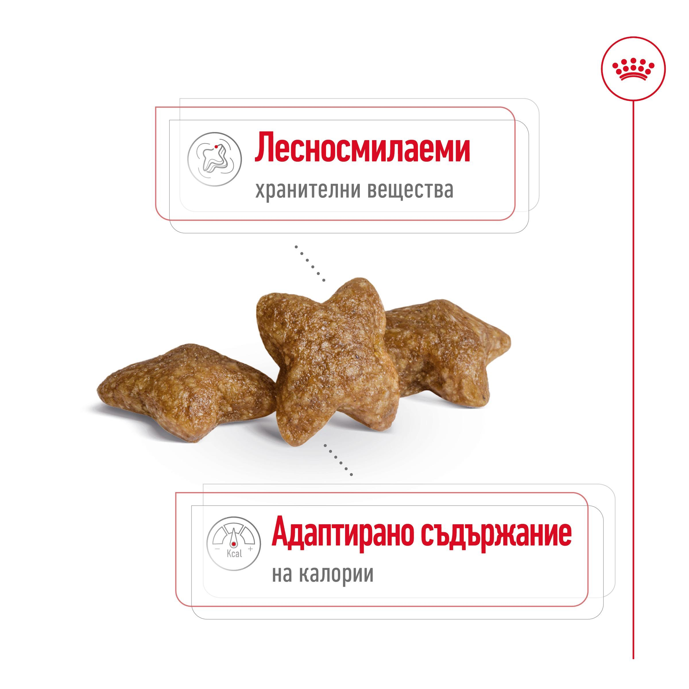 ROYAL CANIN® SHN MINI ADULT 2 kg - изображение 9