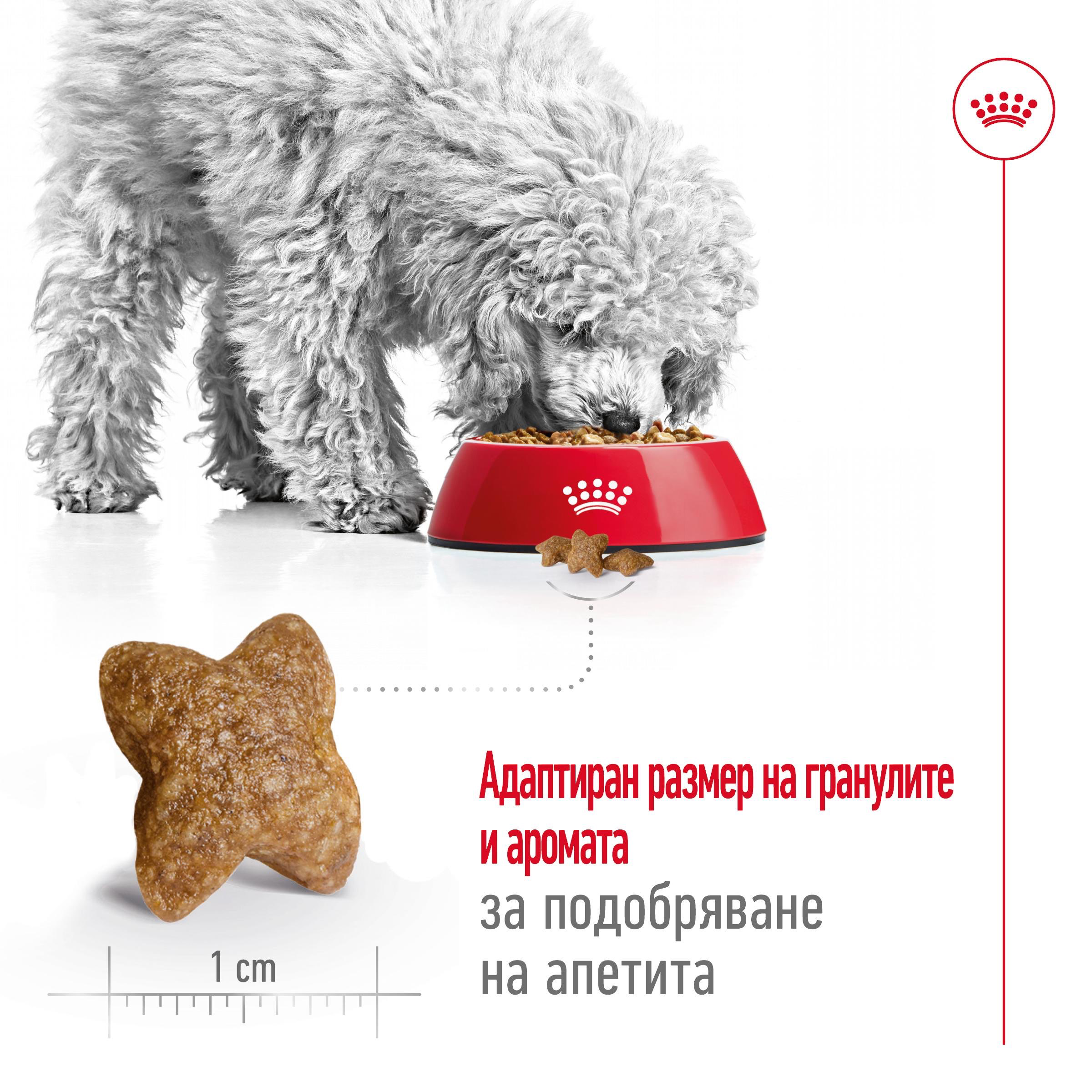 ROYAL CANIN® SHN MINI ADULT 2 kg - изображение 8