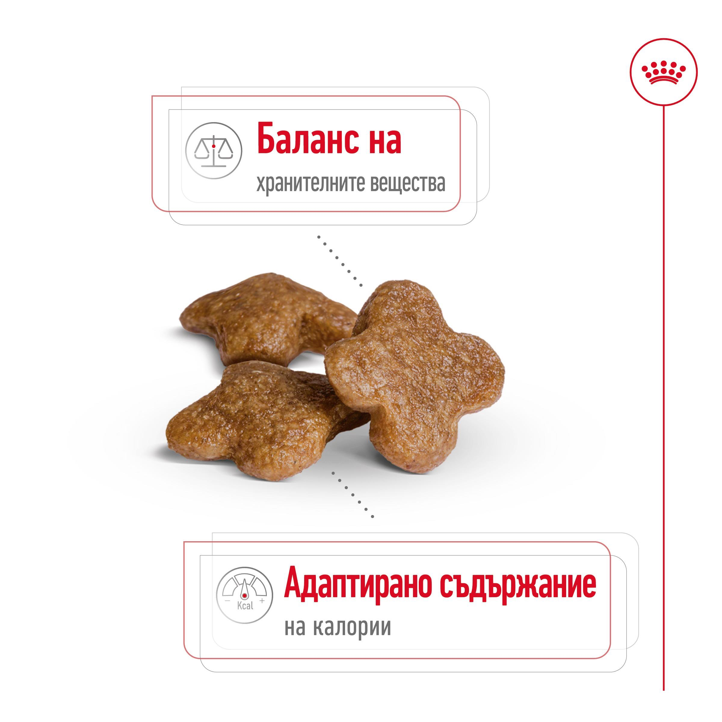 ROYAL CANIN® SHN MINI ADULT 8+ 2kg - изображение 9
