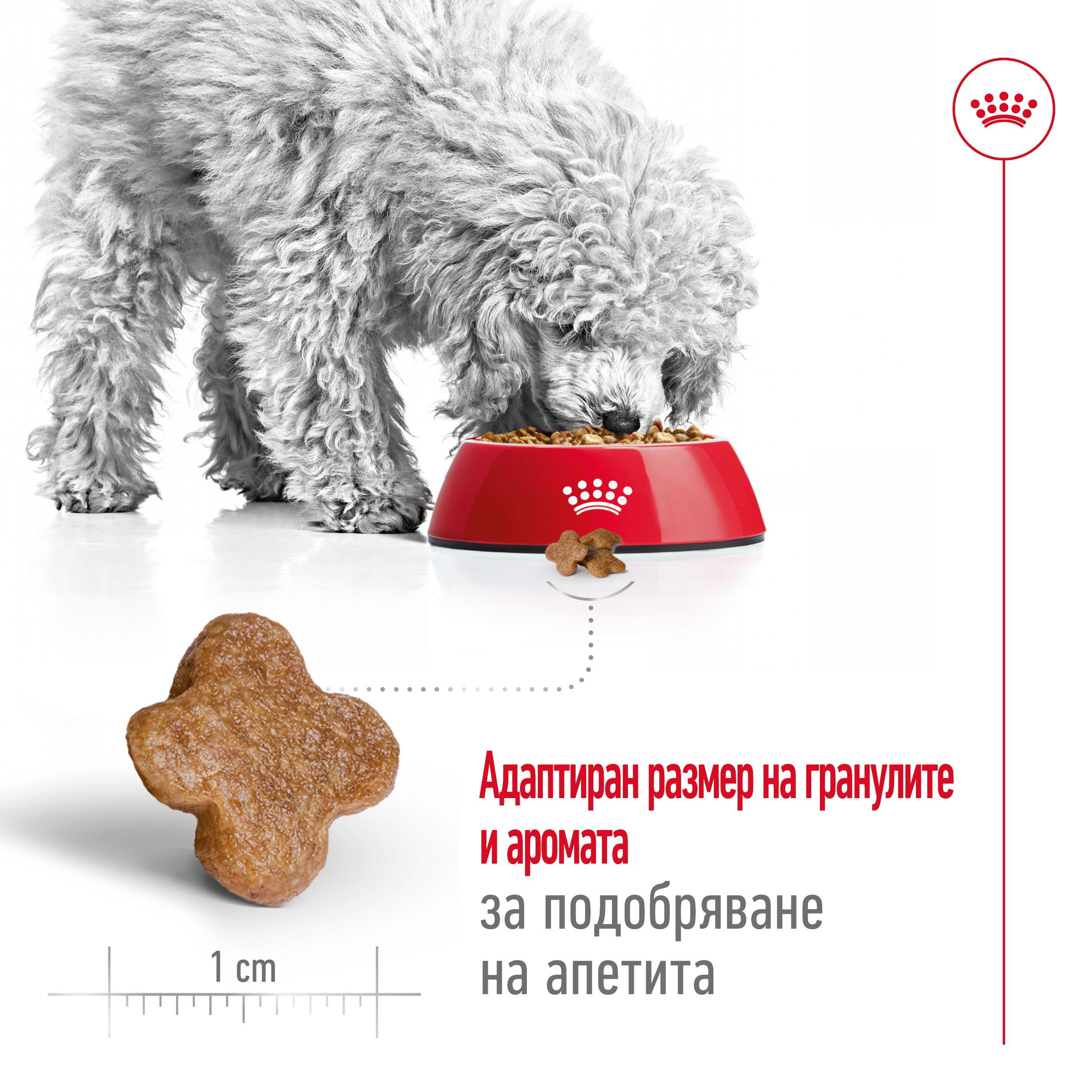 ROYAL CANIN® SHN MINI ADULT 8+ 2kg - изображение 8