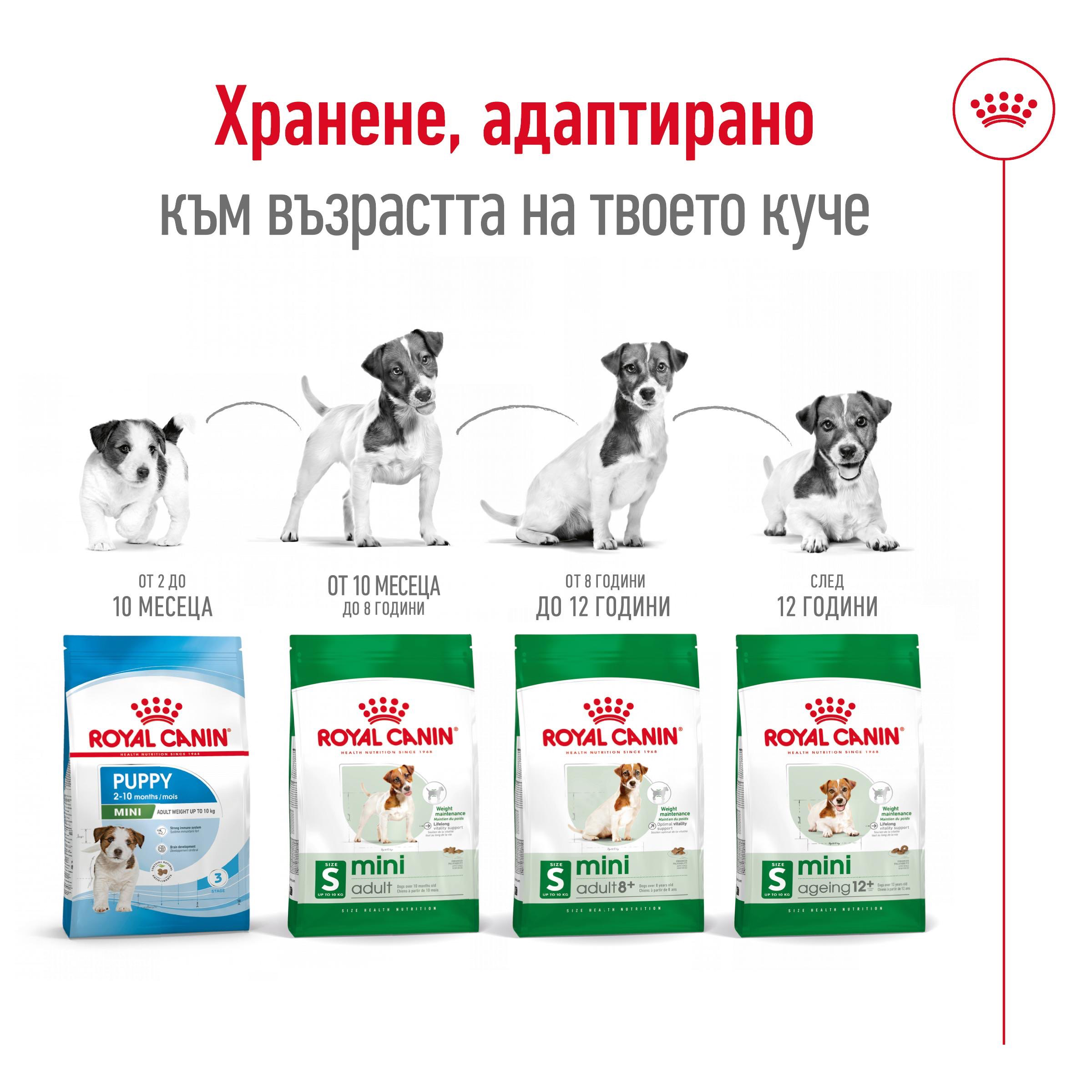 ROYAL CANIN® SHN MINI ADULT 8+ 2kg - изображение 6
