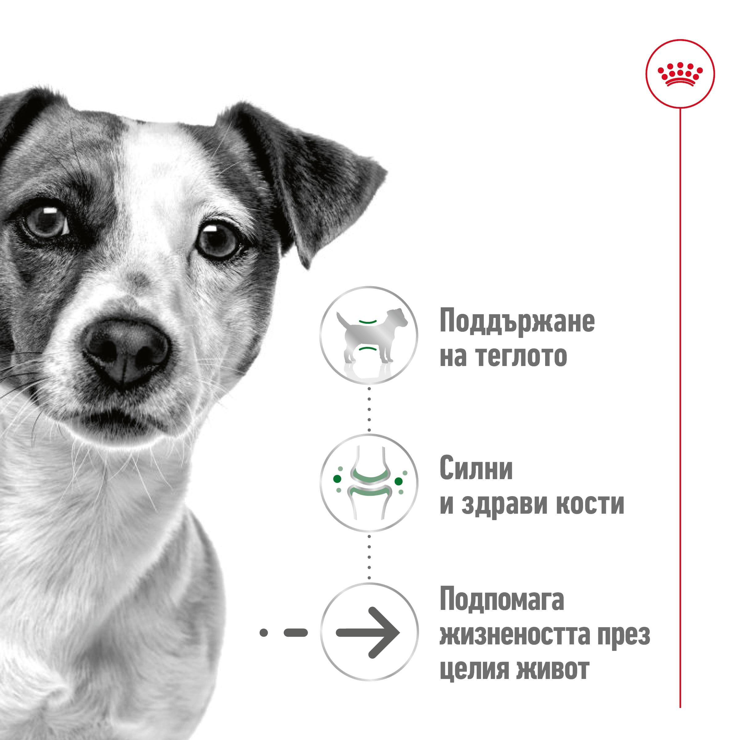 ROYAL CANIN® SHN MINI AGEING snacks in 85g - изображение 5