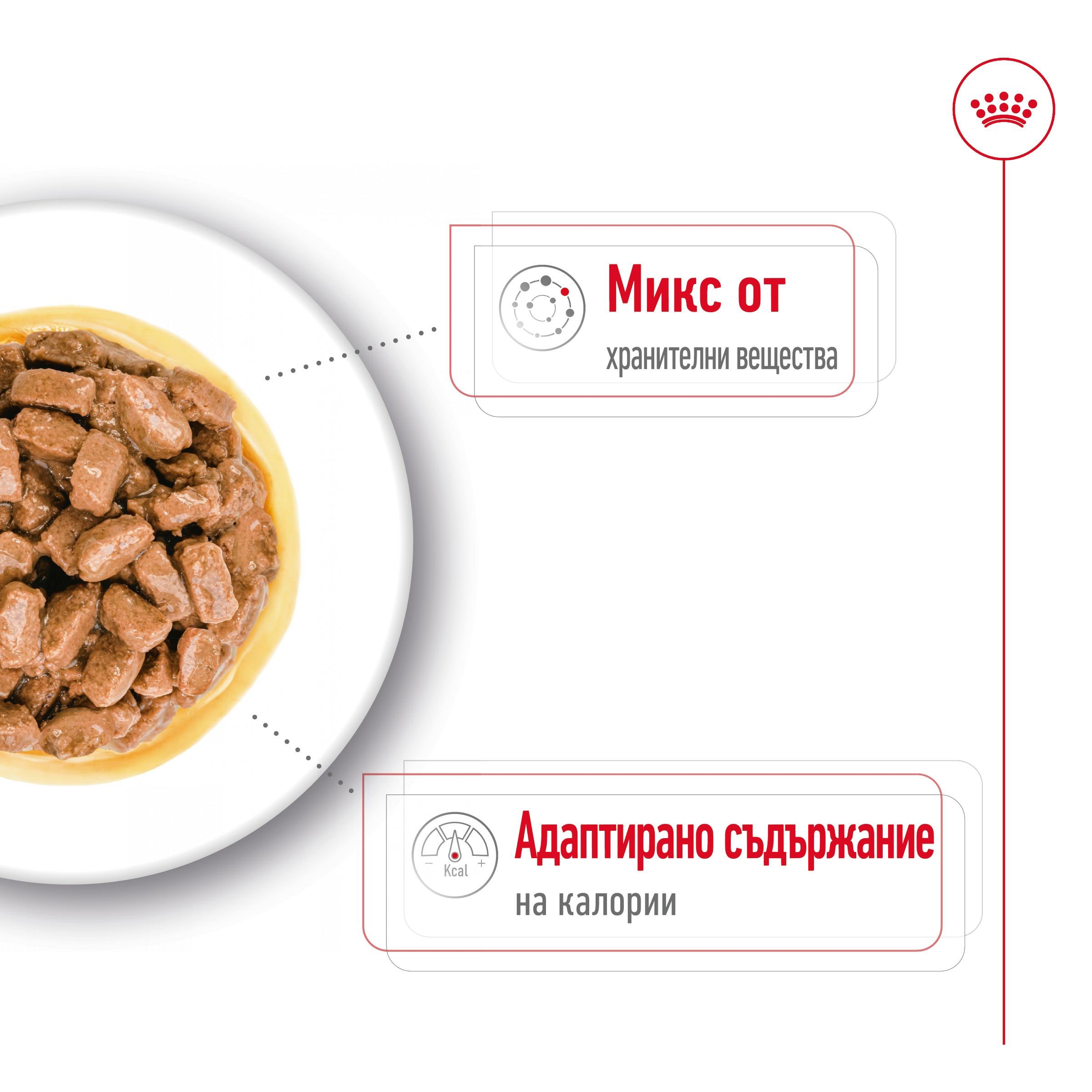 ROYAL CANIN® SHN MINI AGEING snacks in 85g - изображение 4