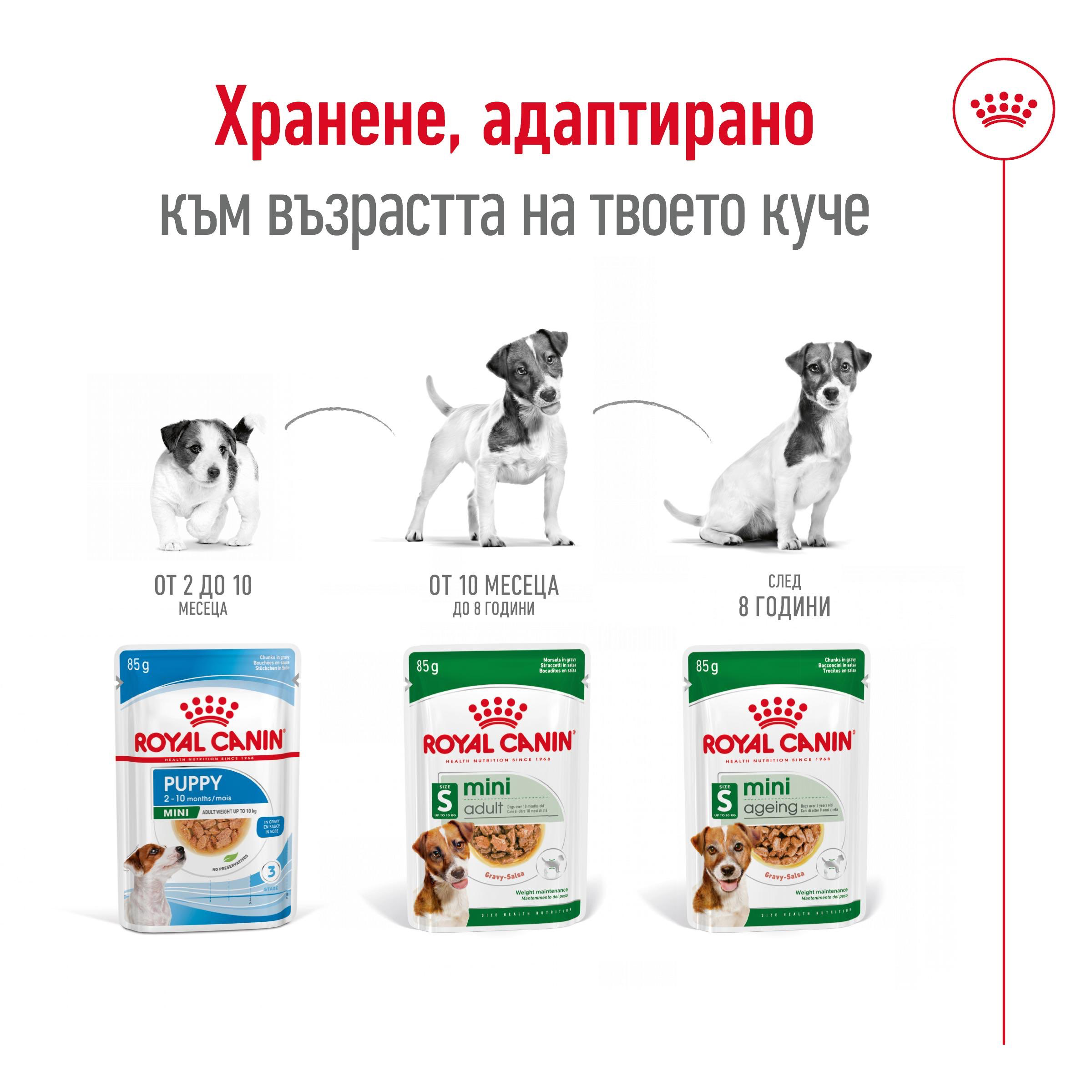 ROYAL CANIN® SHN MINI AGEING snacks in 85g - изображение 3