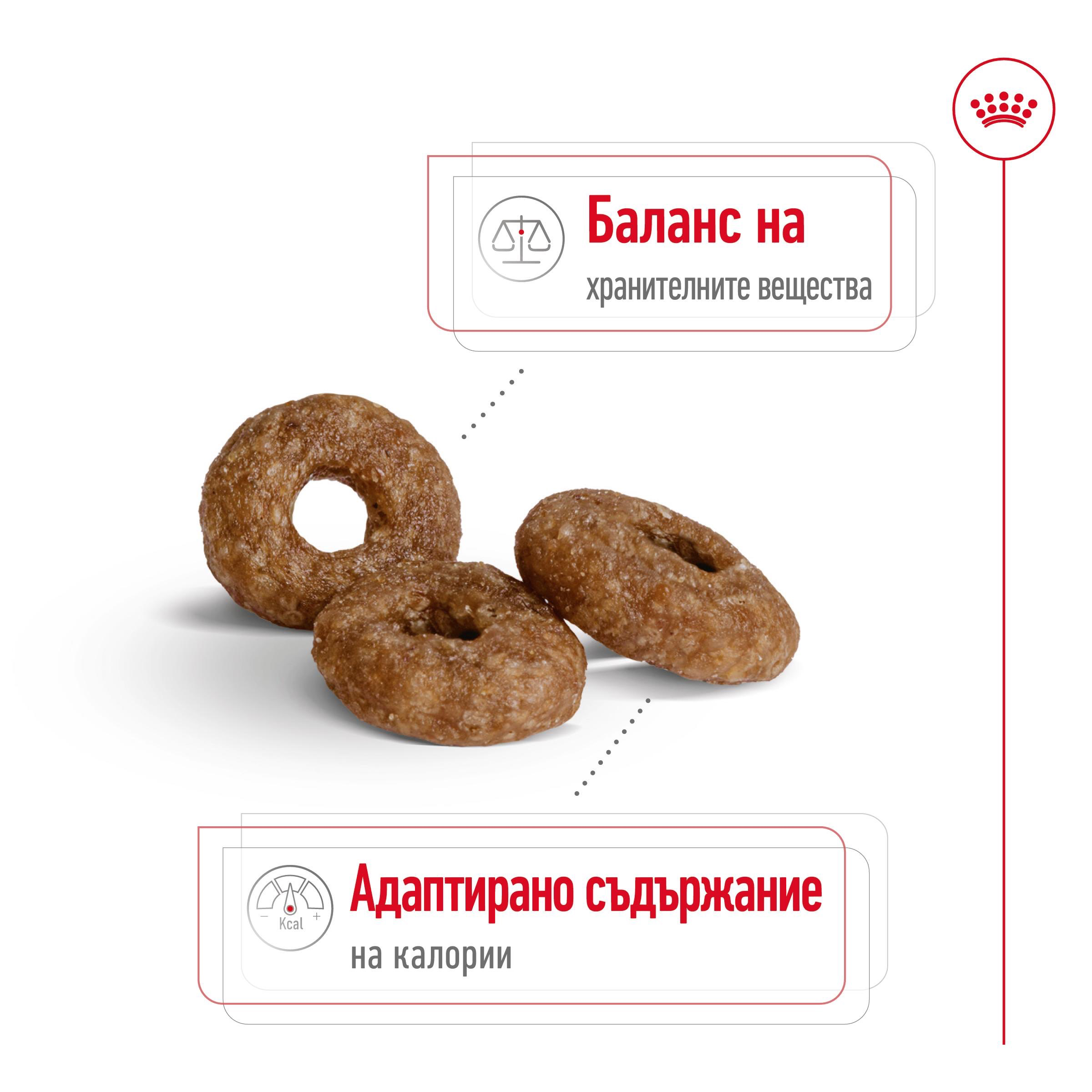 ROYAL CANIN® SHN MINI AGEING 12+ 1.5kg - изображение 9