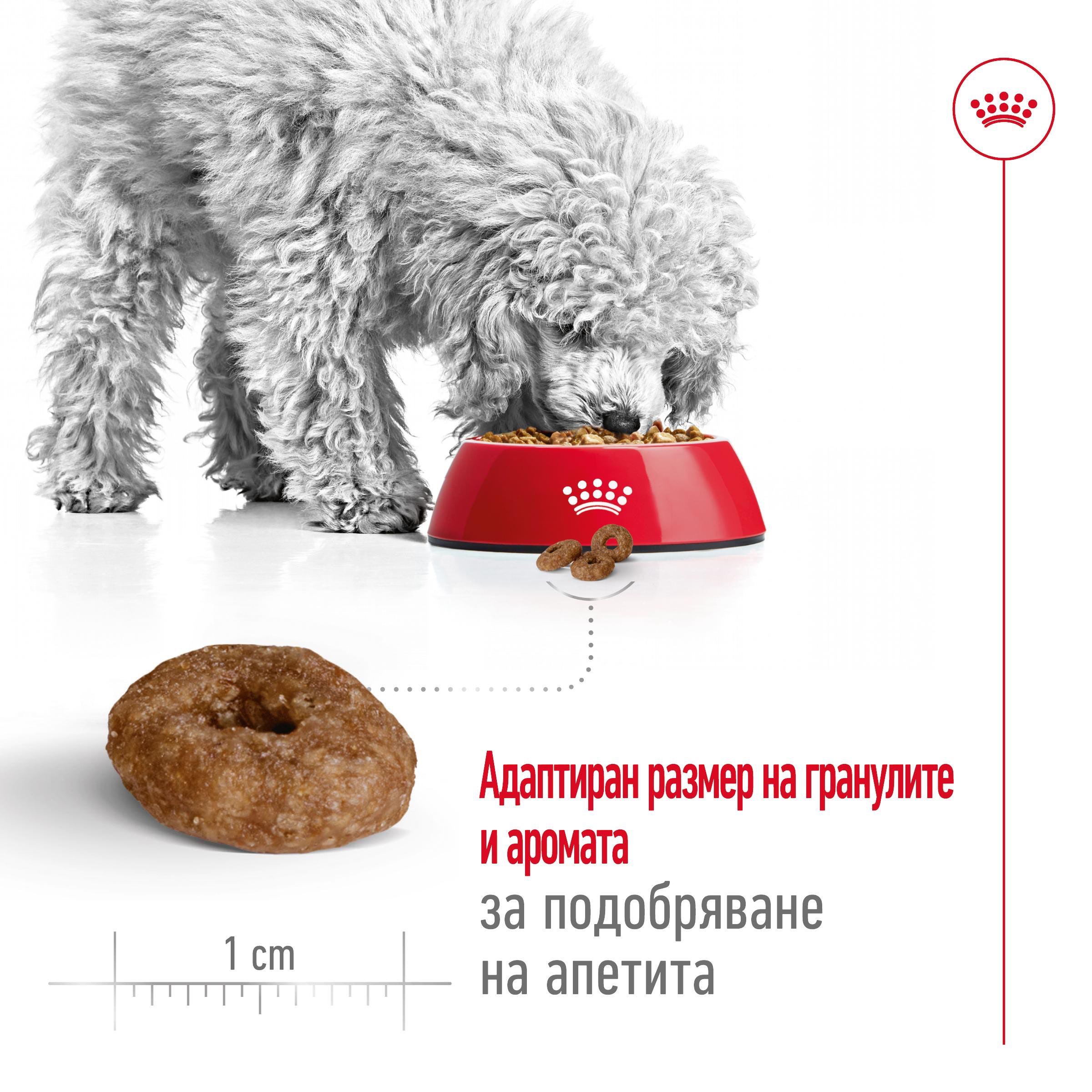 ROYAL CANIN® SHN MINI AGEING 12+ 1.5kg - изображение 8