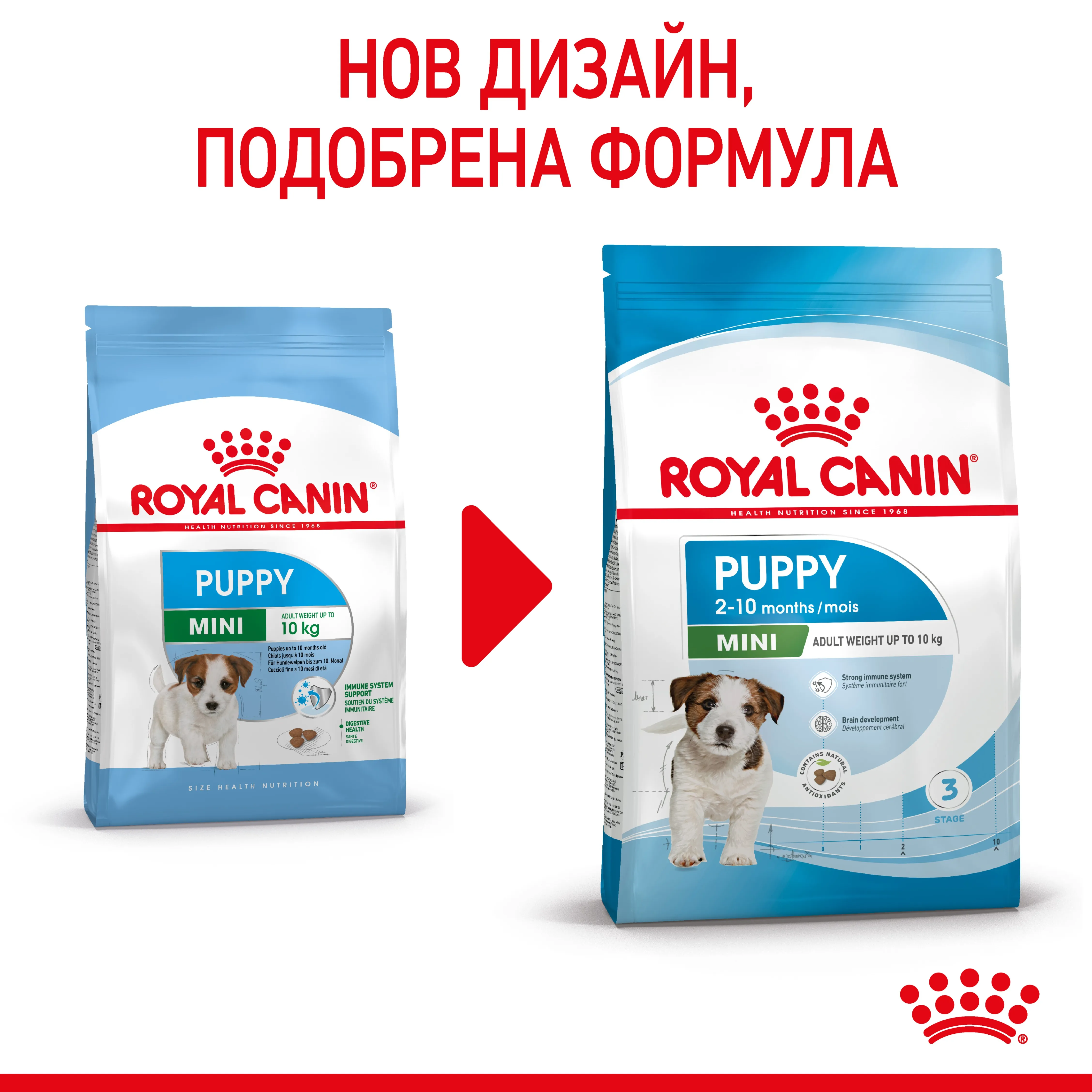 ROYAL CANIN® SHN MINI PUPPY 8kg - изображение 2