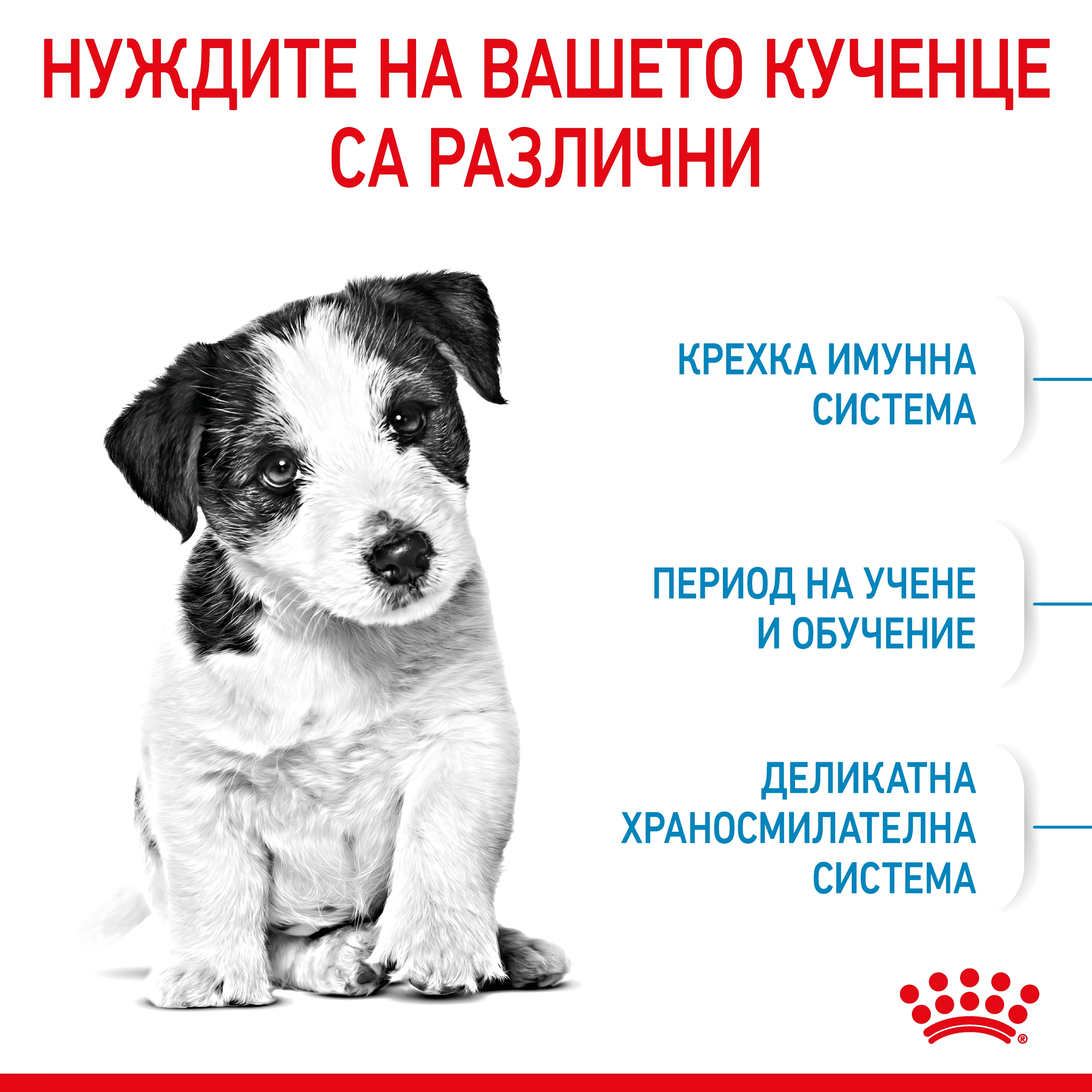 ROYAL CANIN® SHN MINI PUPPY 8kg - изображение 3
