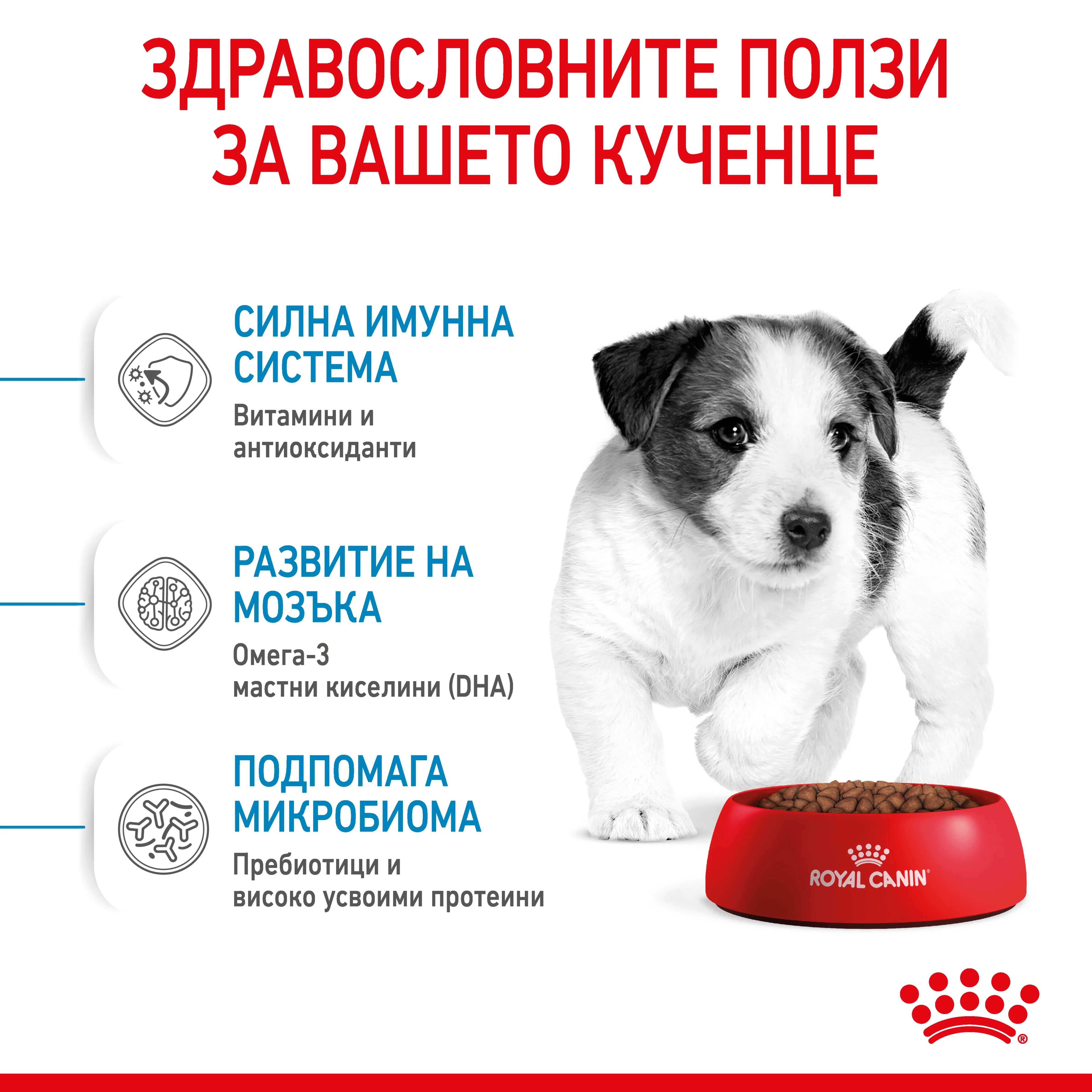 ROYAL CANIN® SHN MINI PUPPY 8kg - изображение 4