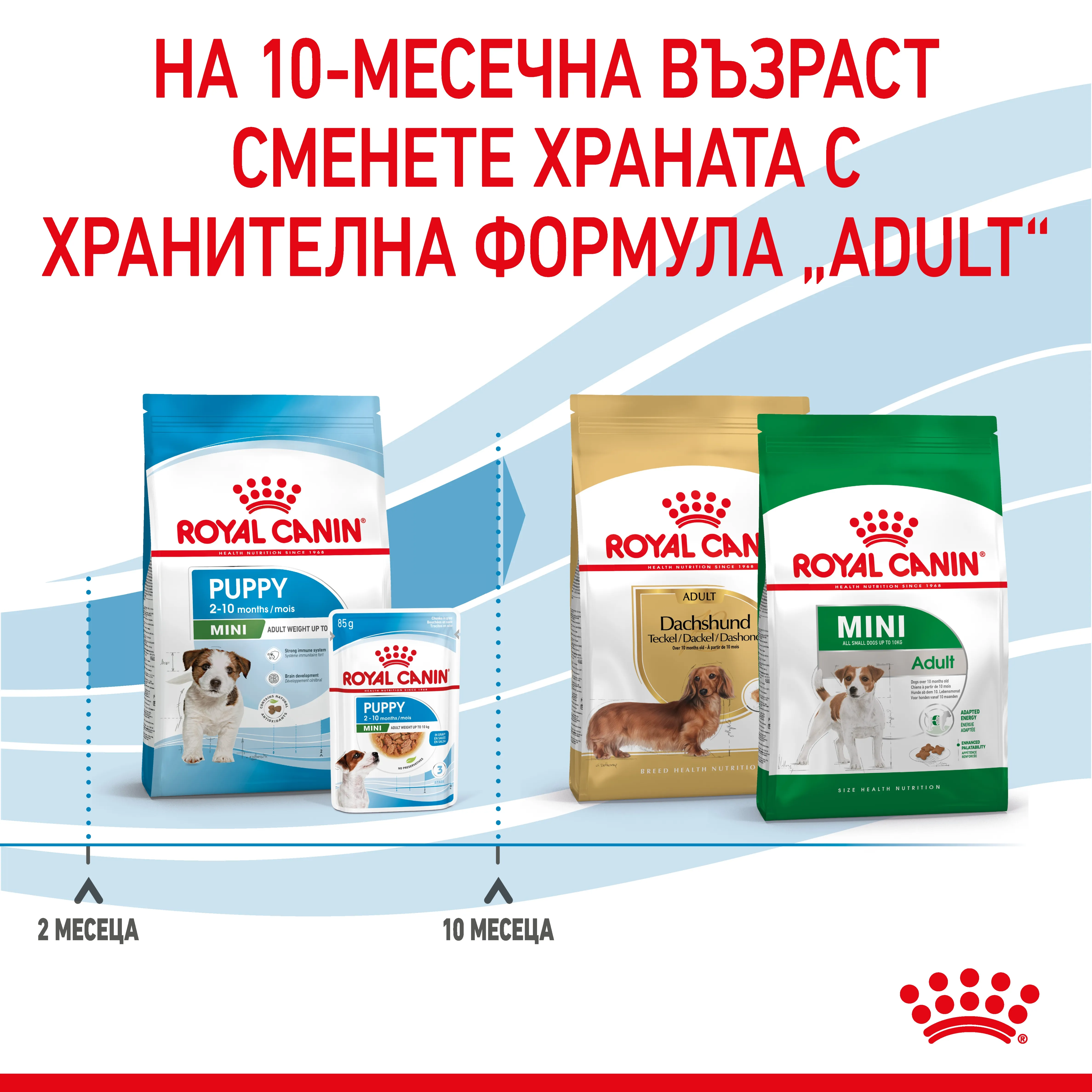 ROYAL CANIN® SHN MINI PUPPY 8kg - изображение 6