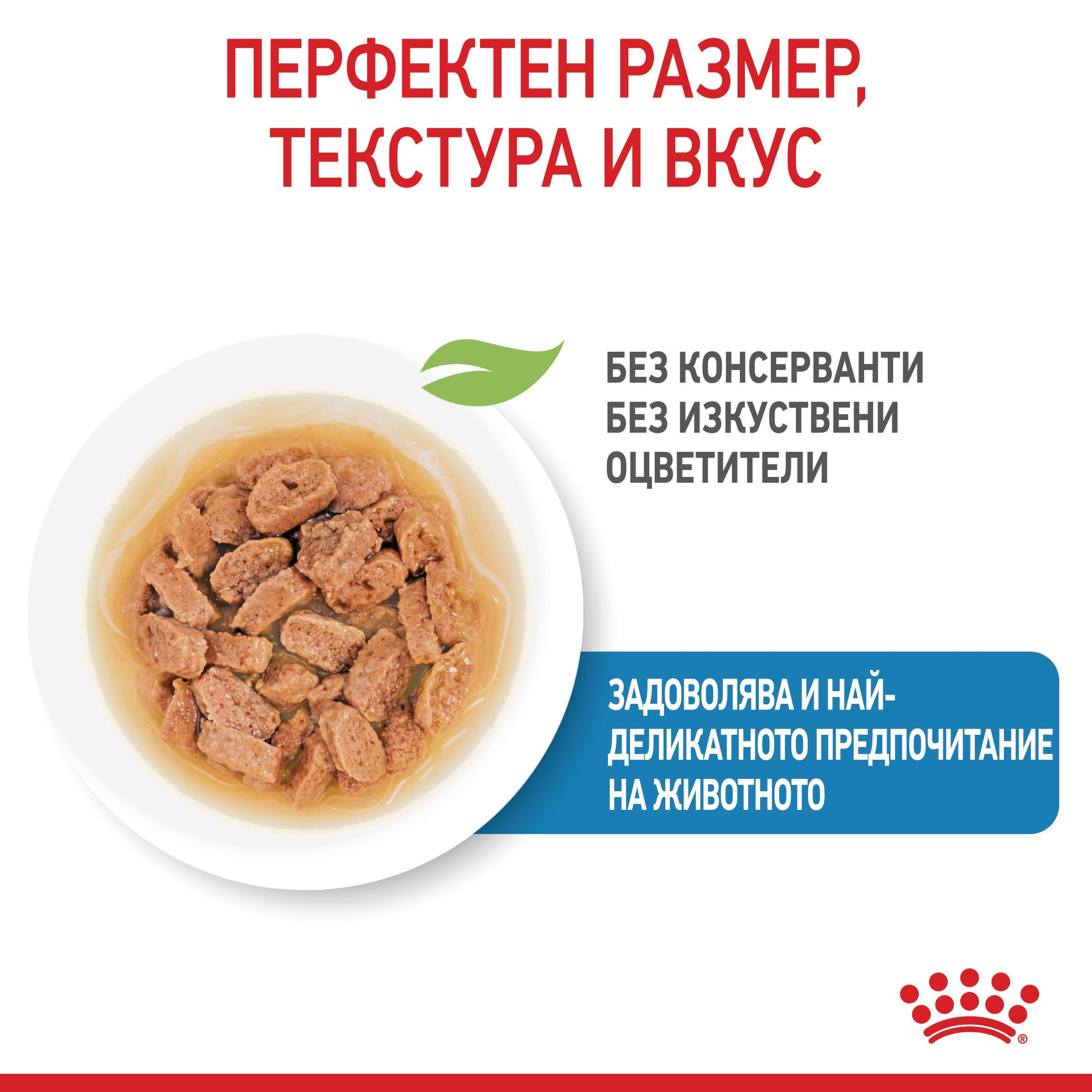 ROYAL CANIN® SHN MINI MULTIPACK PUPPY 4x85г - изображение 8