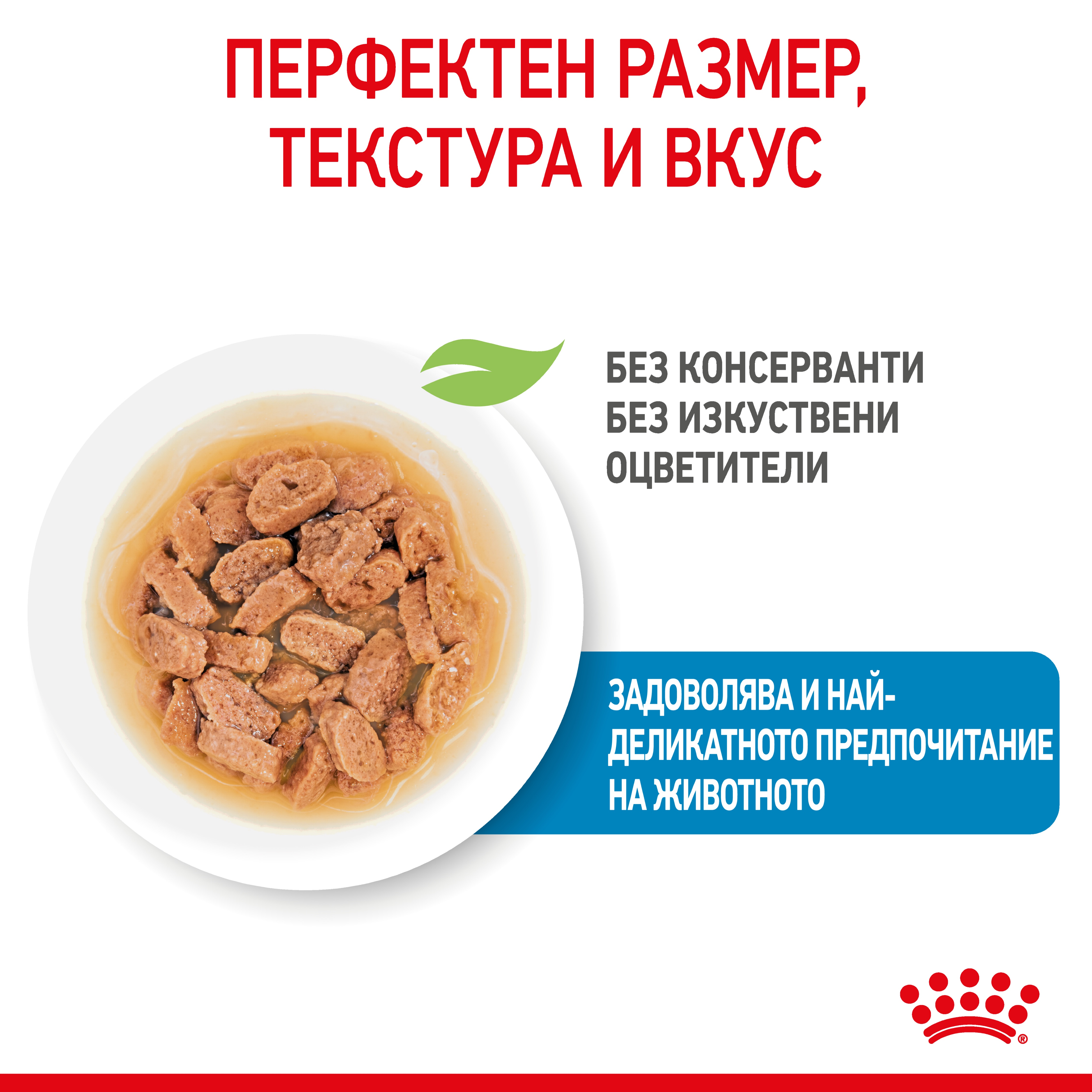 ROYAL CANIN® SHN MINI PUPPY snacks in a 85g bag - изображение 1