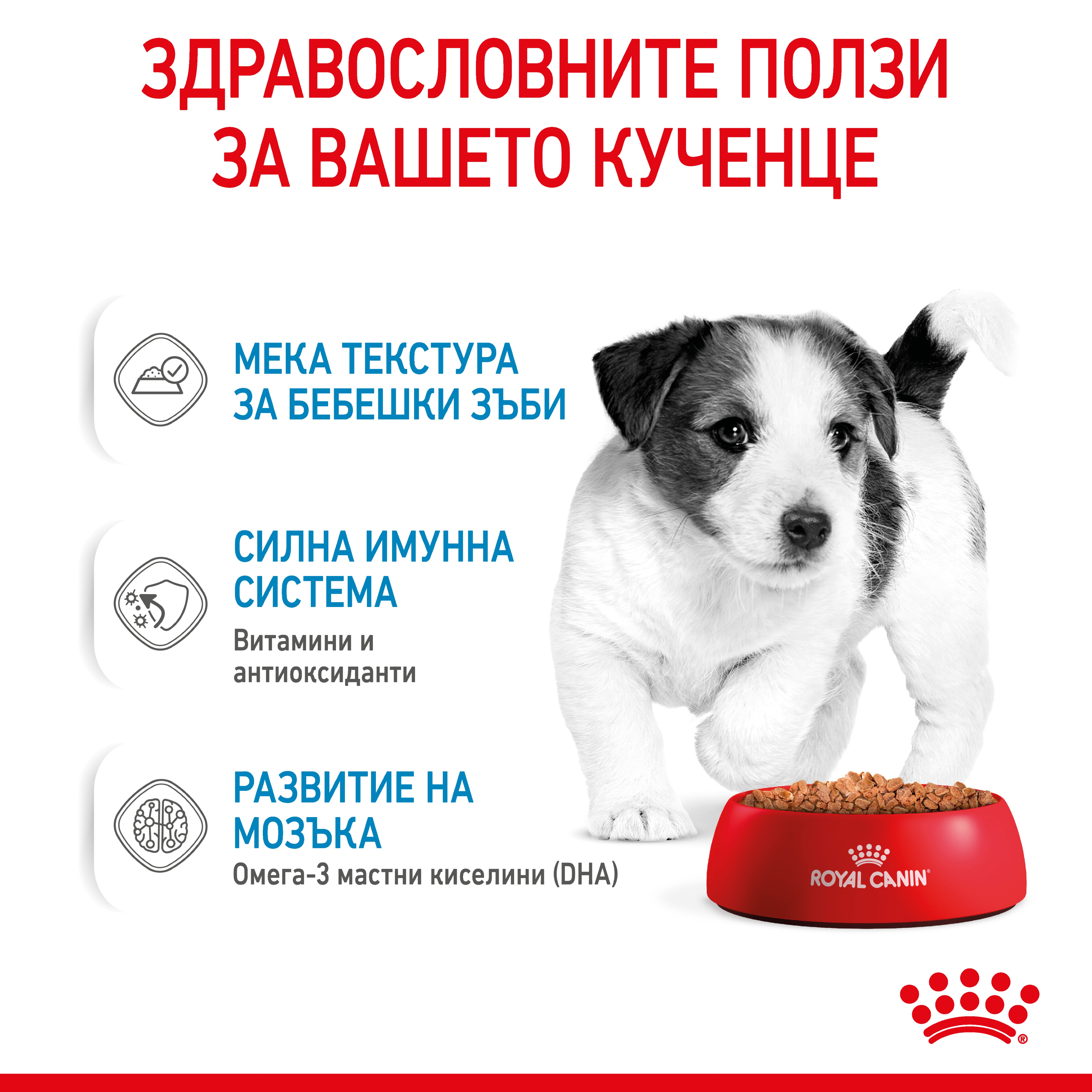 ROYAL CANIN® SHN MINI PUPPY snacks in a 85g bag - изображение 2