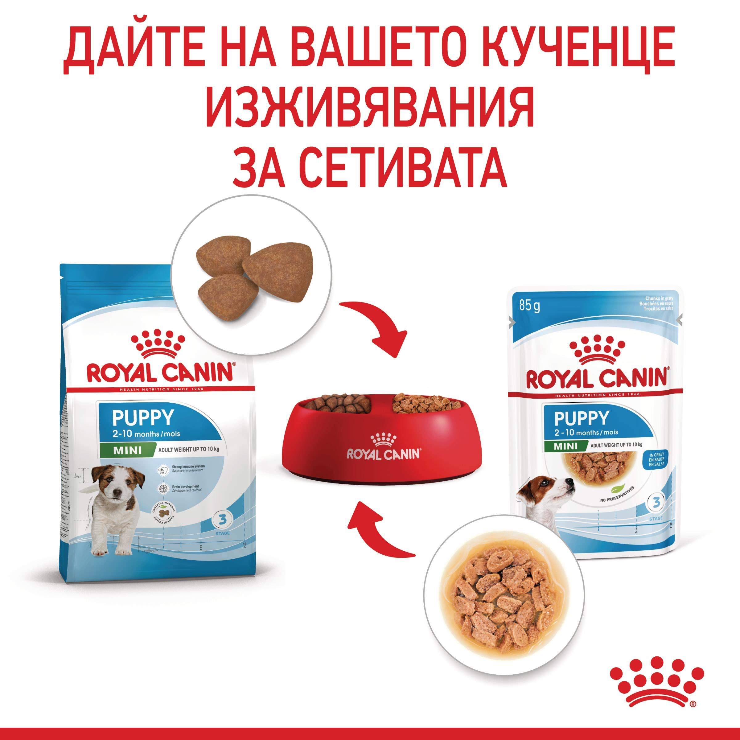 ROYAL CANIN® SHN MINI MULTIPACK PUPPY 4x85г - изображение 6