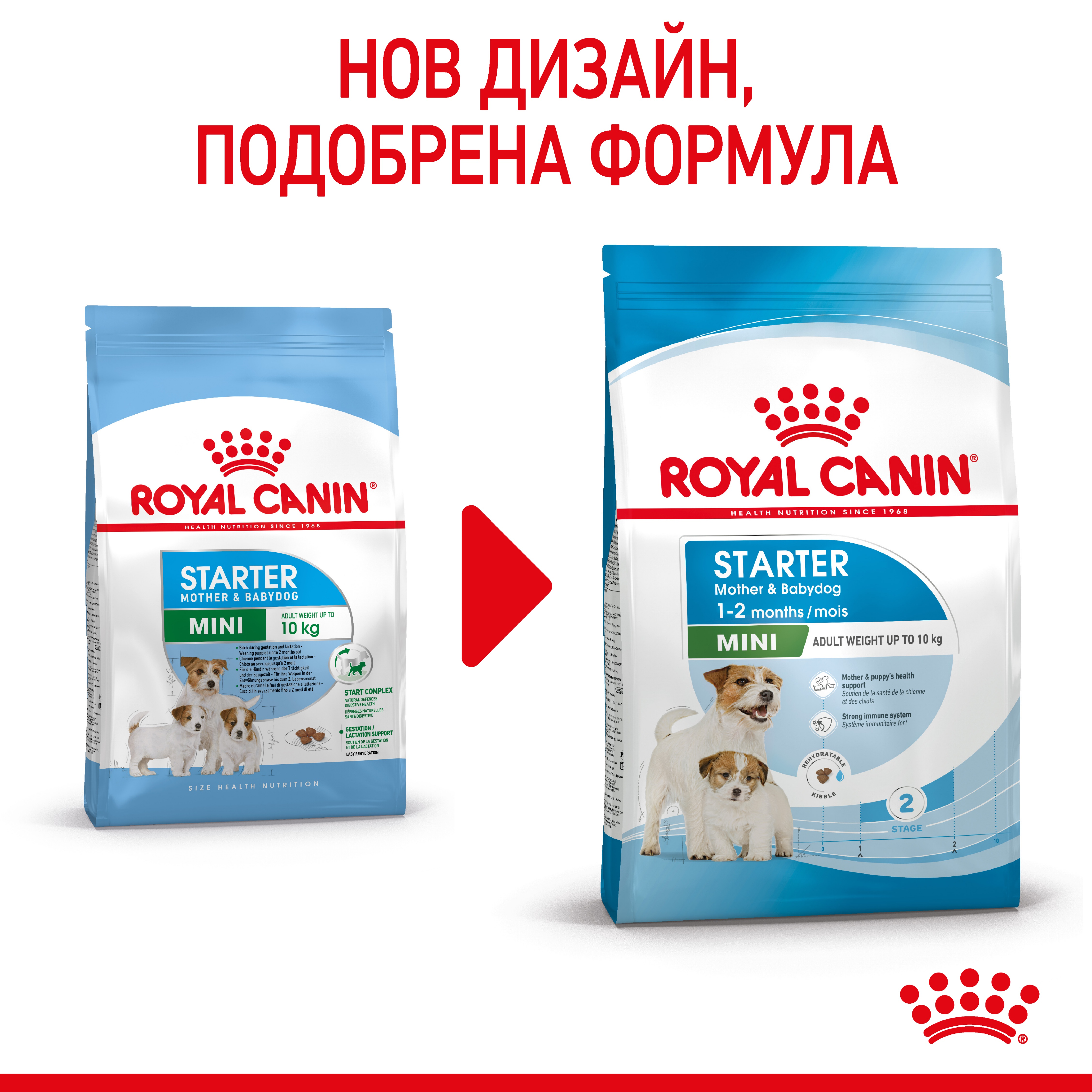 ROYAL CANIN® SHN MINI STARTER MOTHER & BABYDOG 8кг
