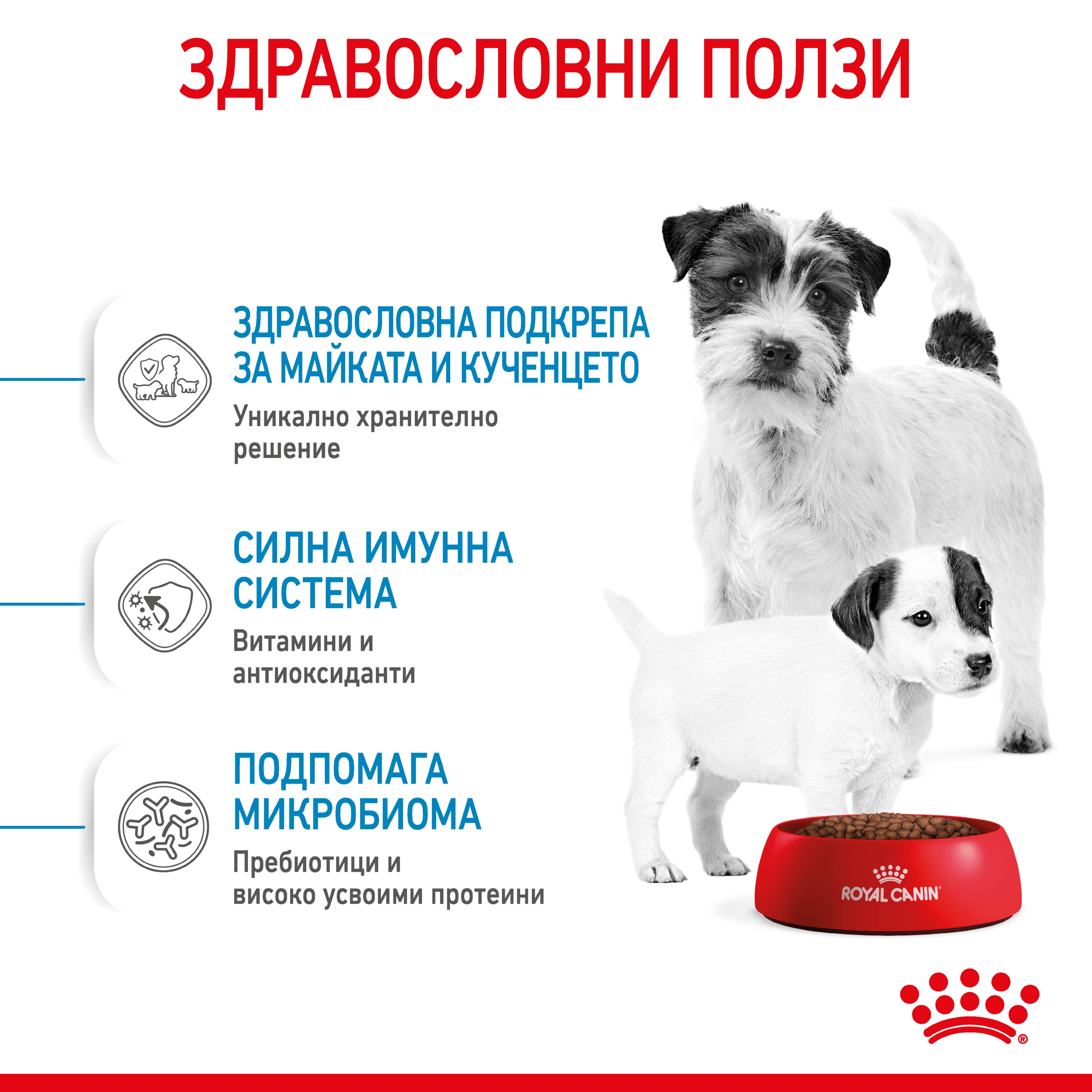ROYAL CANIN® SHN MINI STARTER MOTHER & BABYDOG 8кг - изображение 3