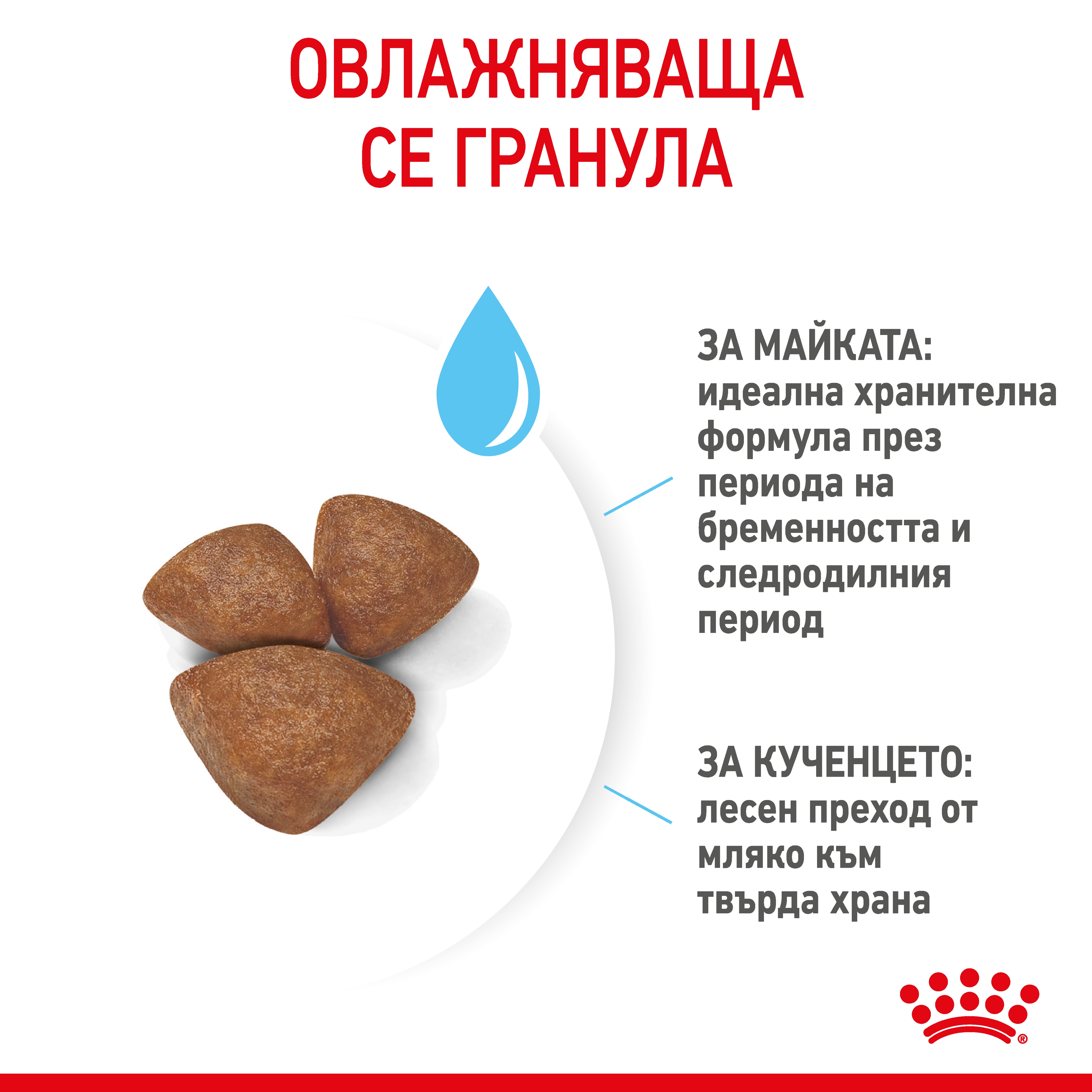 ROYAL CANIN® SHN MINI STARTER MOTHER & BABYDOG 8кг - изображение 2