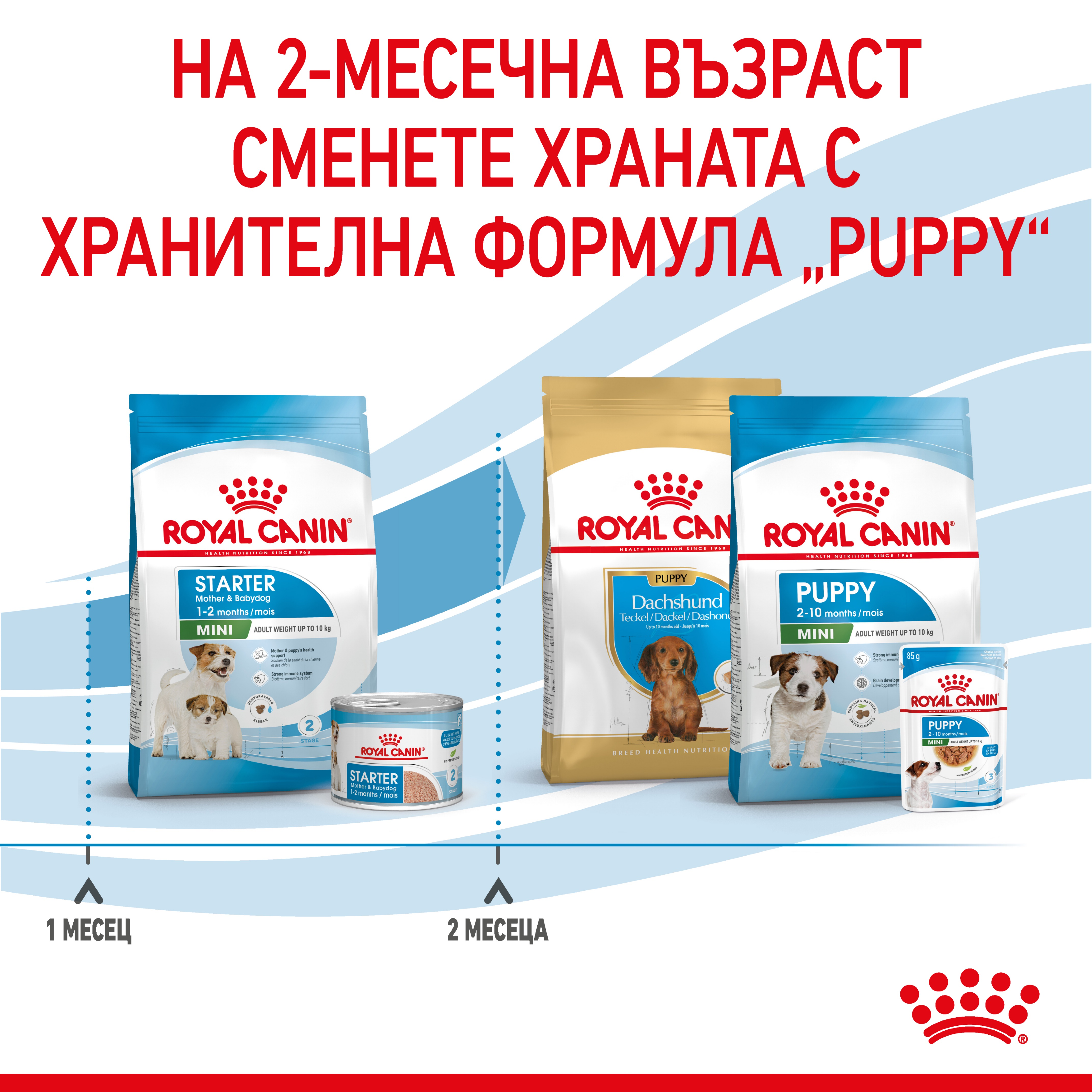 ROYAL CANIN® SHN MINI STARTER MOTHER & BABYDOG 8кг - изображение 8