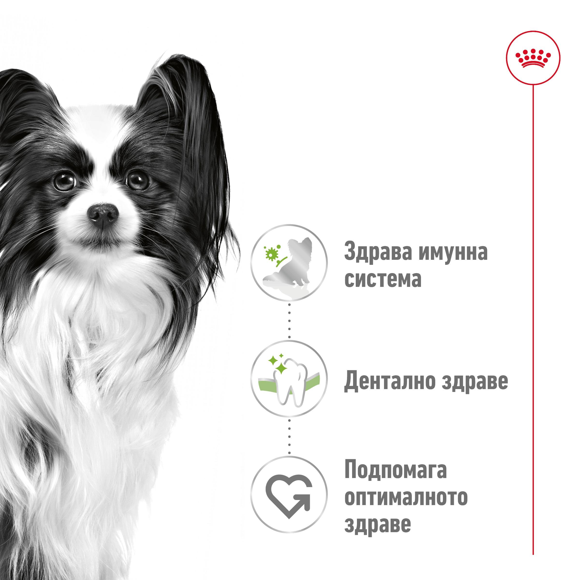 ROYAL CANIN® SHN X-SMALL ADULT 1.5кг - изображение 10