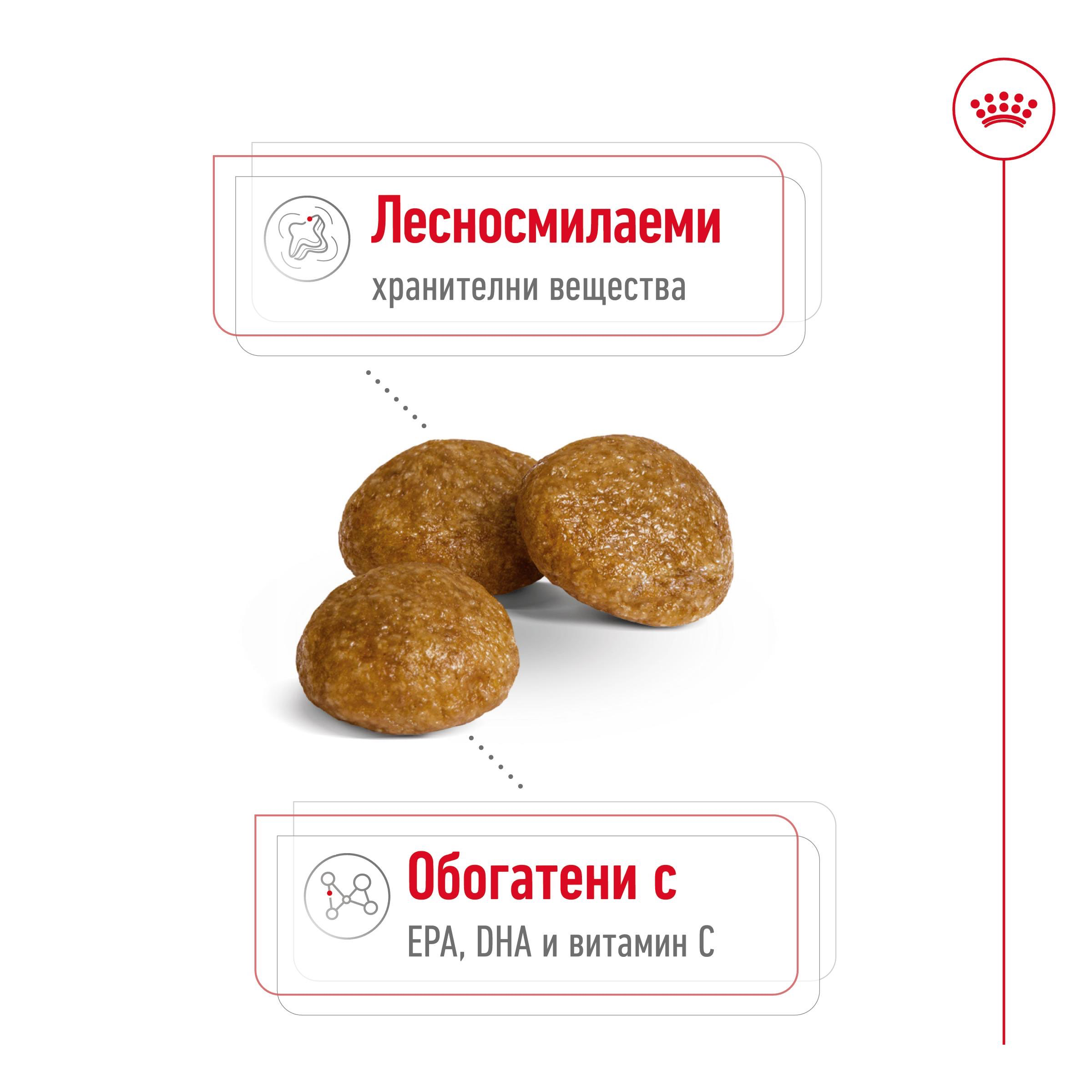 ROYAL CANIN® SHN X-SMALL ADULT 1.5кг - изображение 9