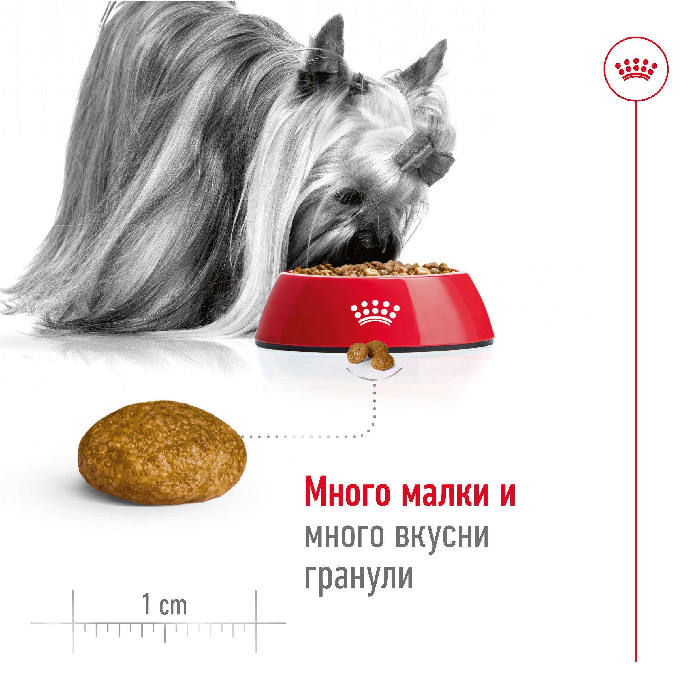 ROYAL CANIN® SHN X-SMALL ADULT 1.5кг - изображение 8
