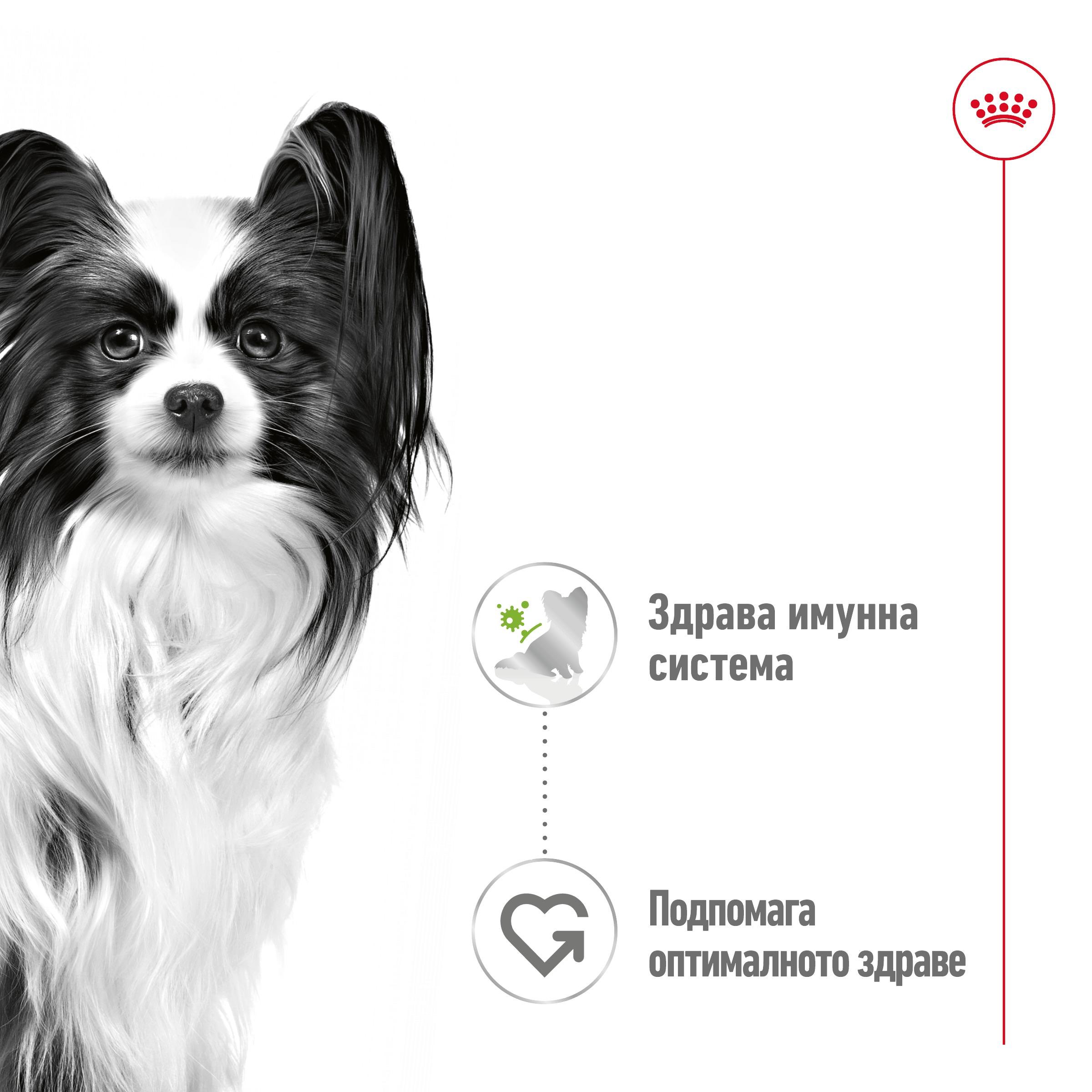 ROYAL CANIN® SHN X-SMALL PUPPY nibbles in sauce 85g - изображение 6