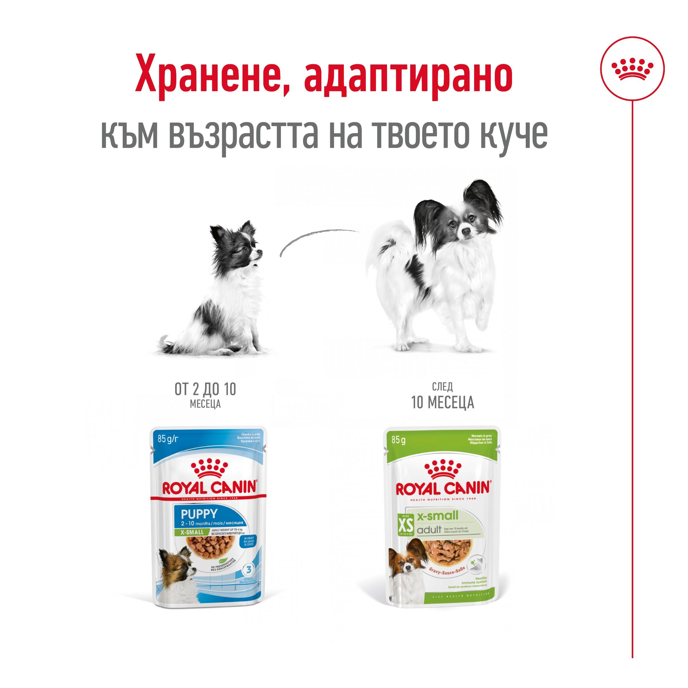 ROYAL CANIN® SHN X-SMALL PUPPY nibbles in sauce 85g - изображение 4