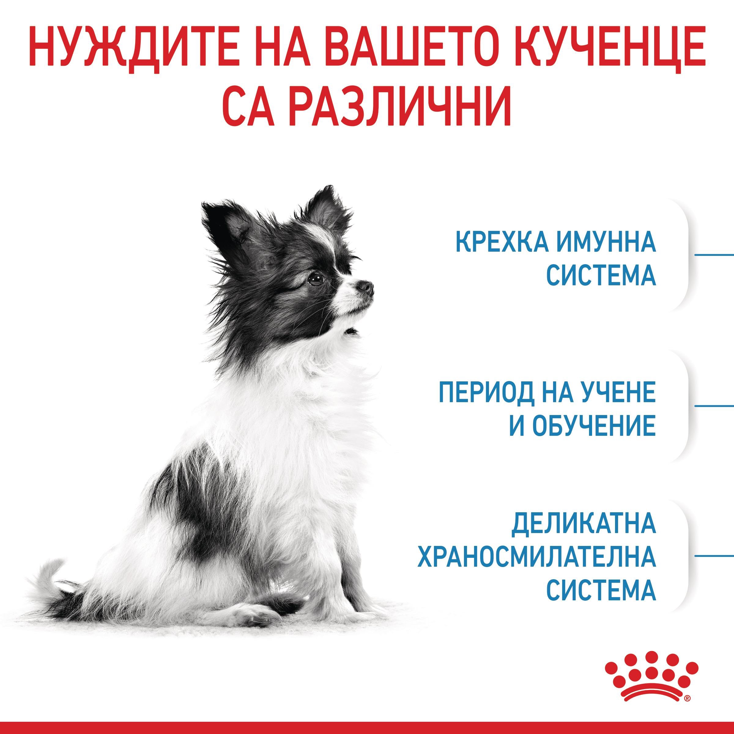 ROYAL CANIN® SHN X-SMALL PUPPY 1.5кг - изображение 7