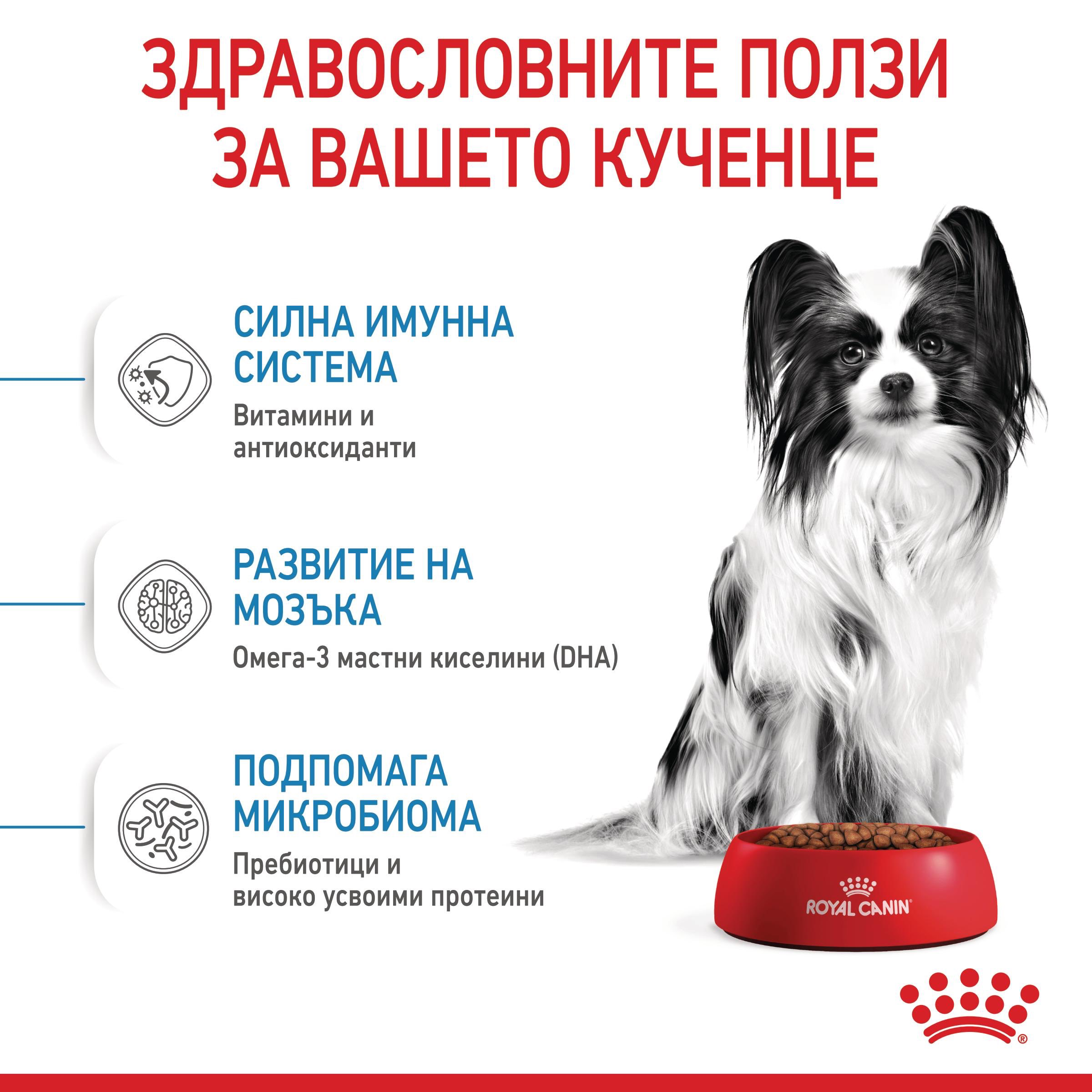 ROYAL CANIN® SHN X-SMALL PUPPY 1.5кг - изображение 6