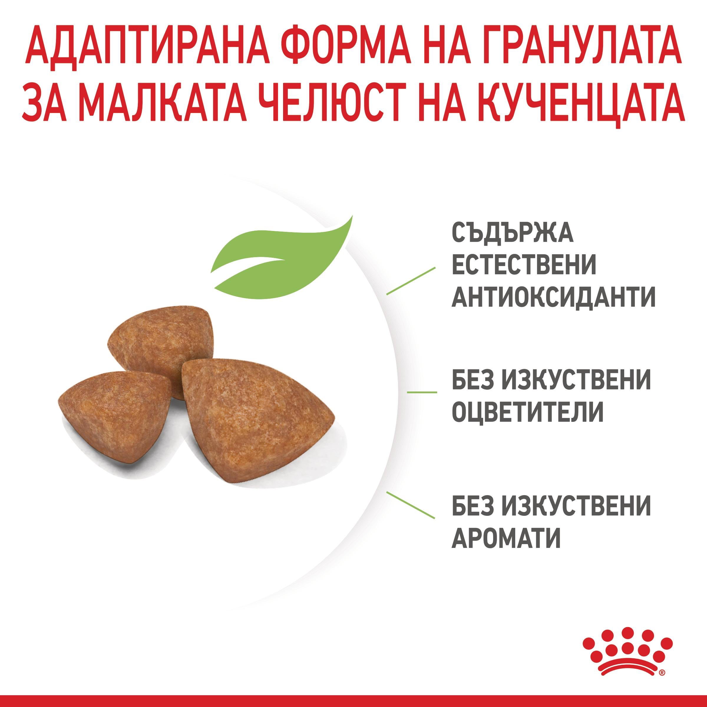 ROYAL CANIN® SHN X-SMALL PUPPY 1.5кг - изображение 5