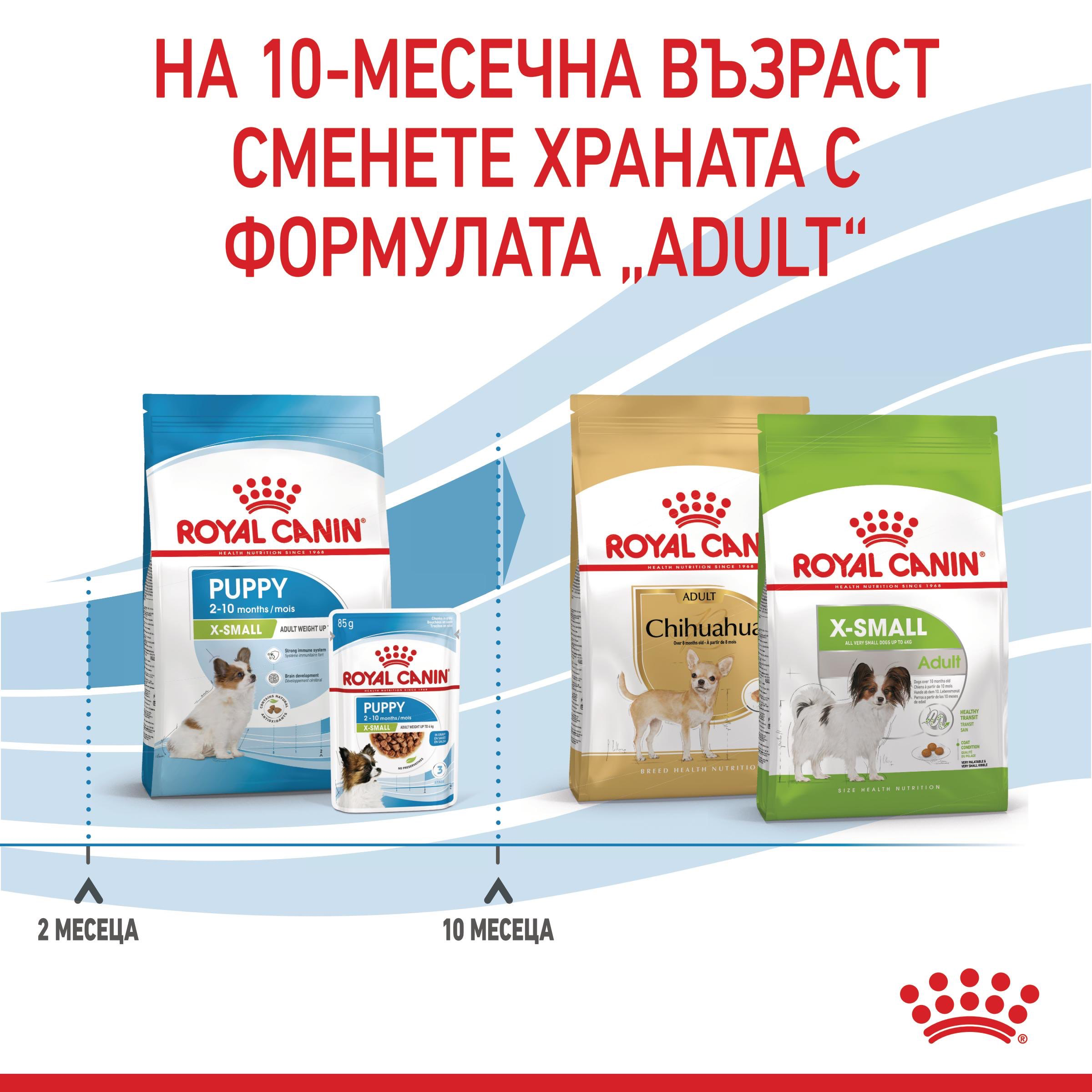 ROYAL CANIN® SHN X-SMALL PUPPY 1.5кг - изображение 4