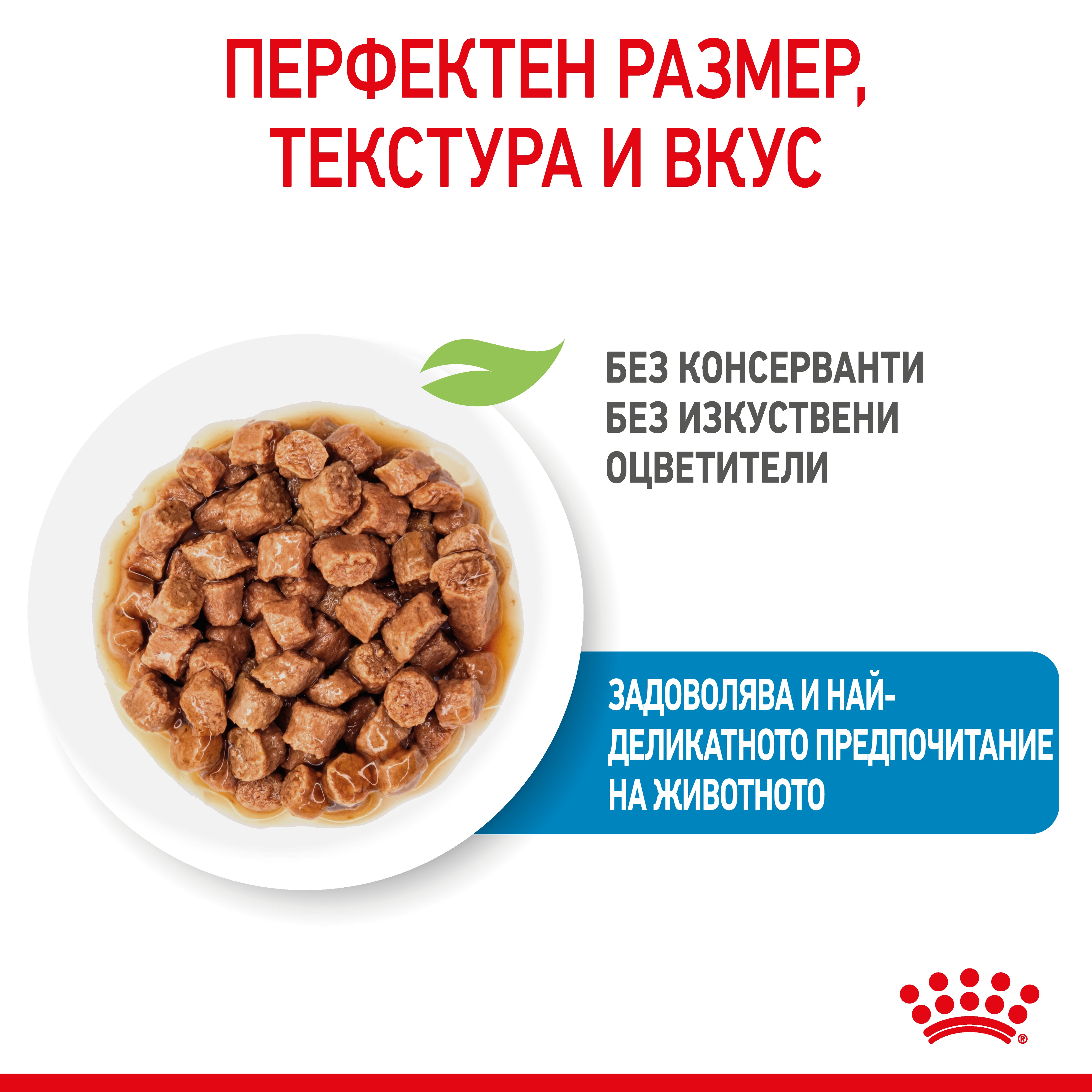 ROYAL CANIN® SHN X-SMALL ADULT snacks in a 85g bag - изображение 8