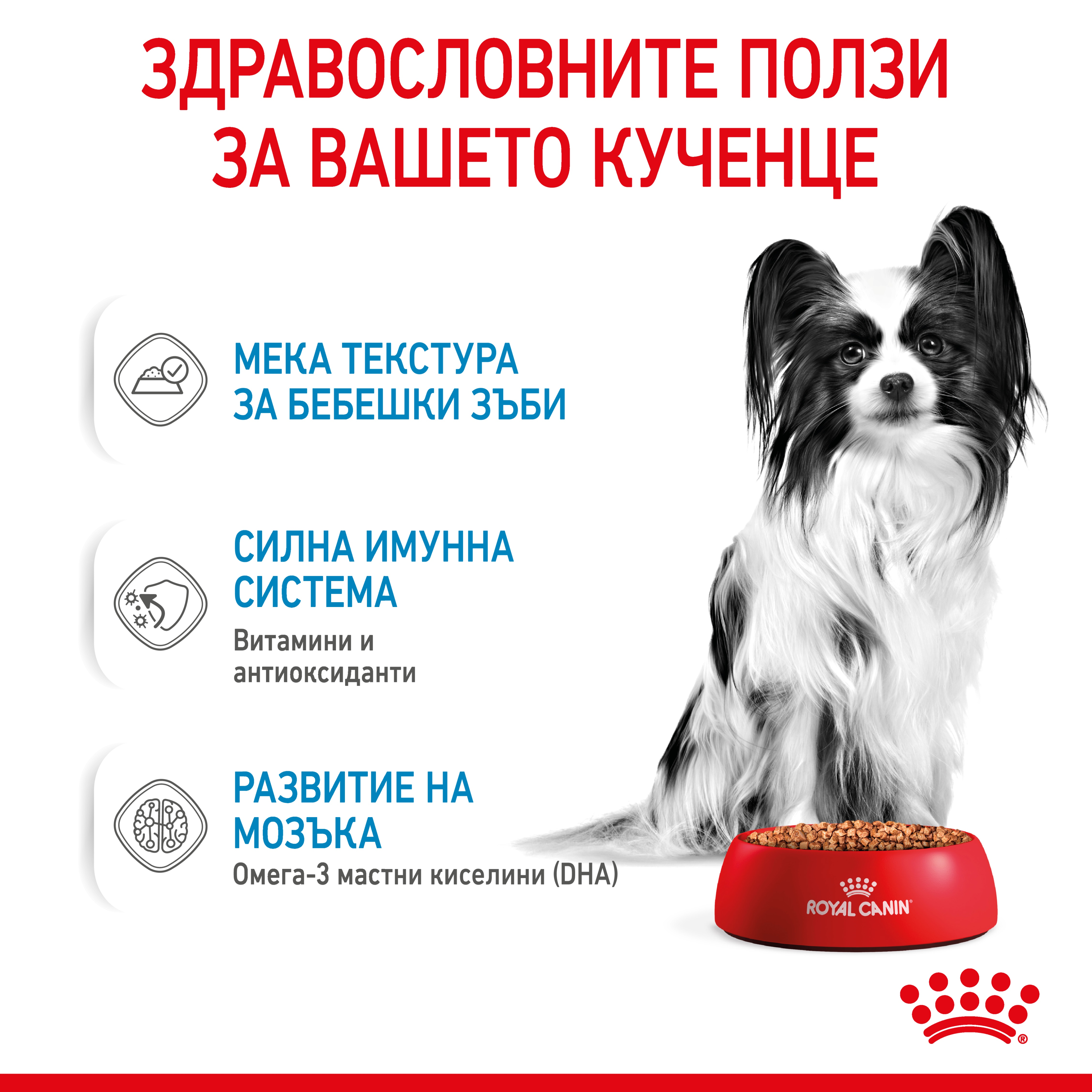 ROYAL CANIN® SHN X-SMALL ADULT snacks in a 85g bag - изображение 7