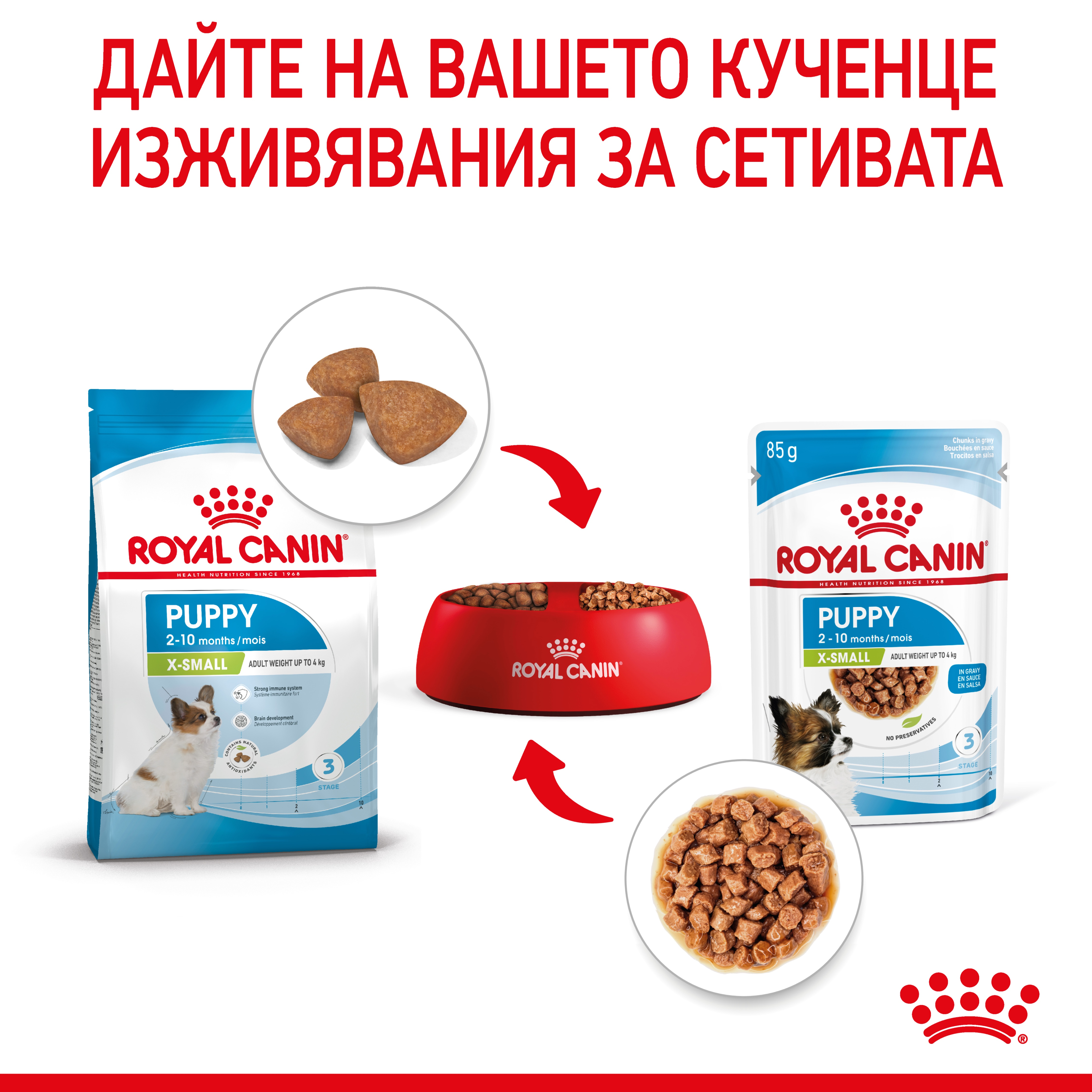 ROYAL CANIN® SHN X-SMALL ADULT snacks in a 85g bag - изображение 6