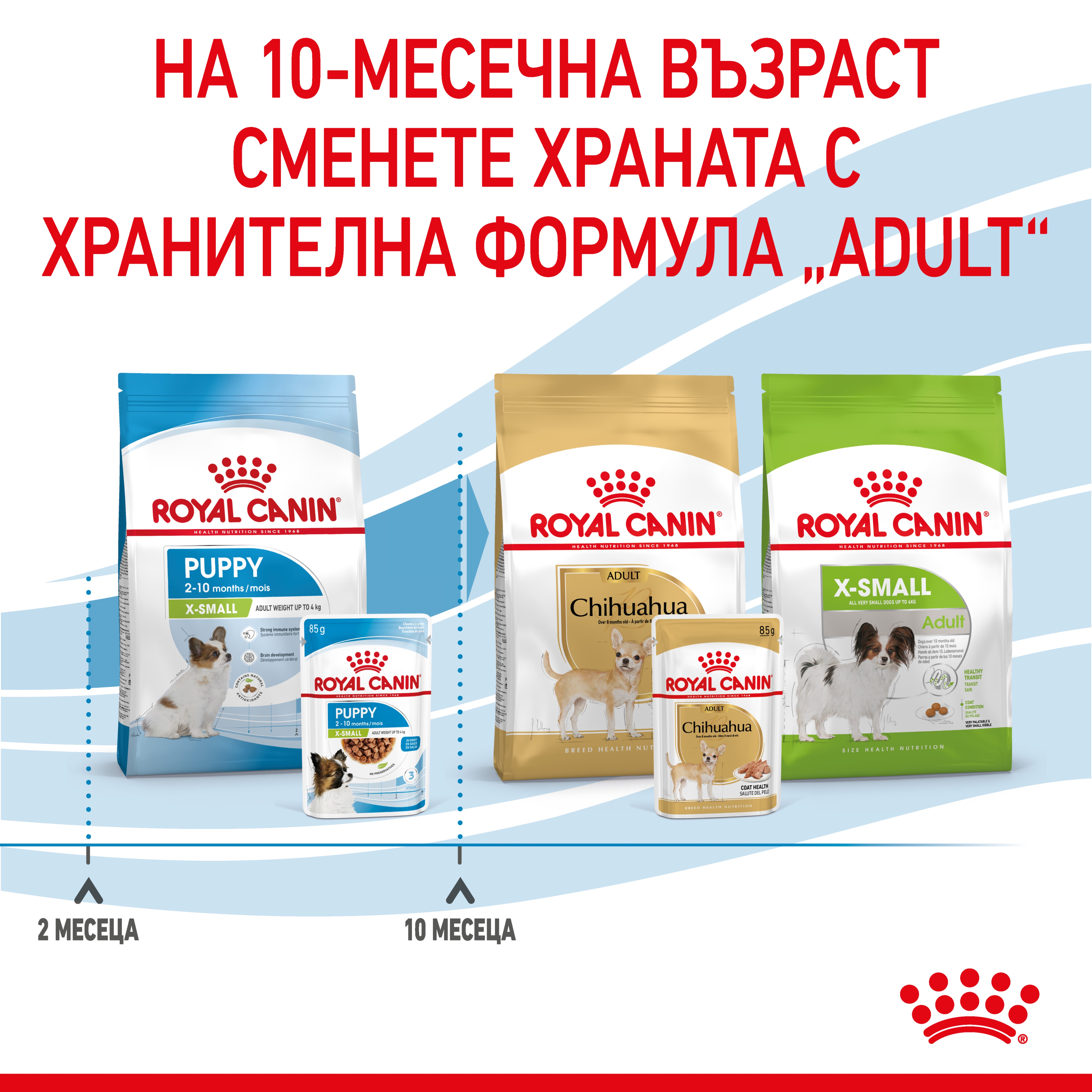 ROYAL CANIN® SHN X-SMALL ADULT snacks in a 85g bag - изображение 4
