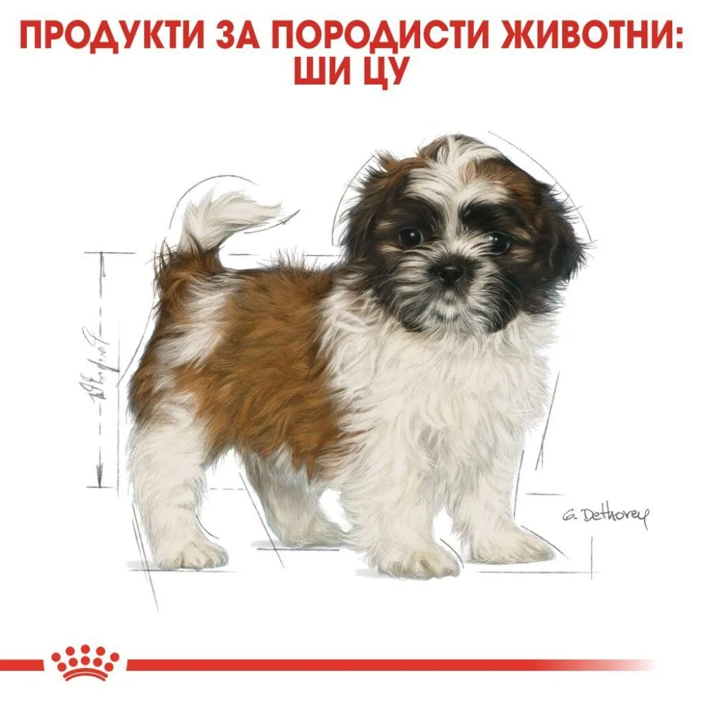 ROYAL CANIN® BHN SHIH TZU PUPPY 1.5kg - изображение 4