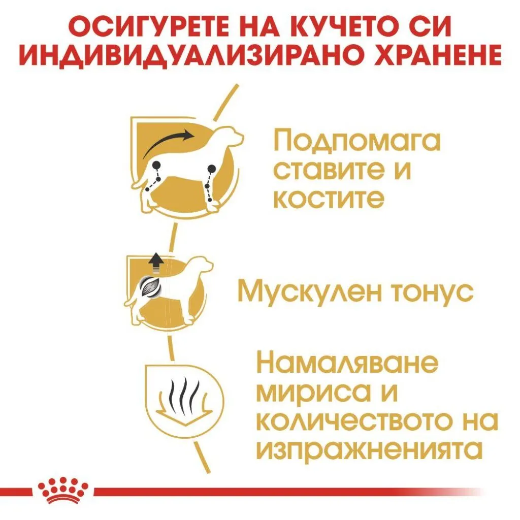 ROYAL CANIN® BHN DACHSHUND ADULT 7.5kg - изображение 2