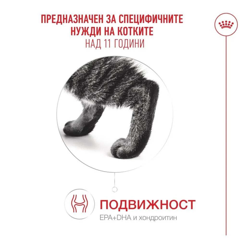 ROYAL CANIN® FHN AGEING 11+ 12x85 г - изображение 7