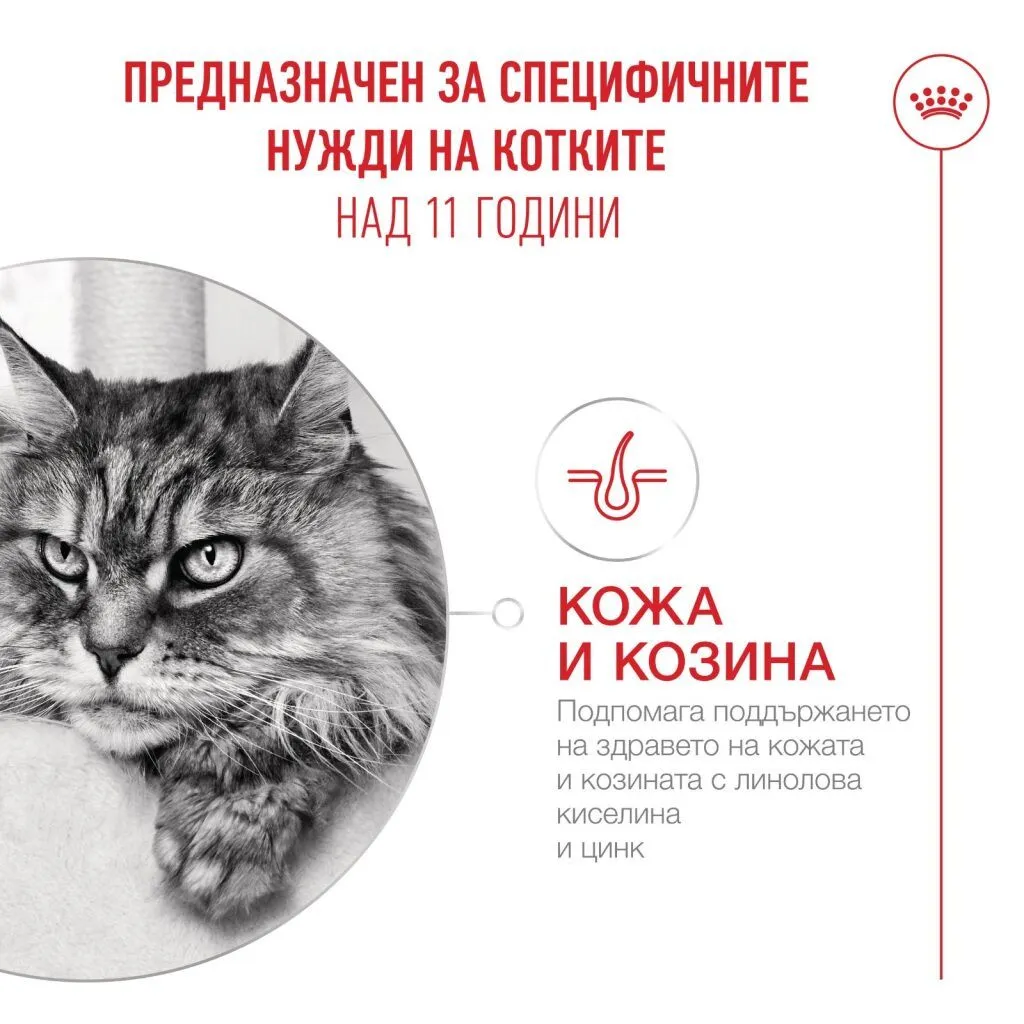 ROYAL CANIN® FHN AGEING 11+ 12x85 г - изображение 6