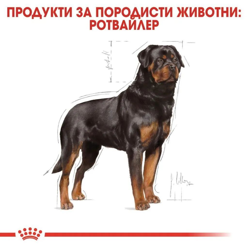 ROYAL CANIN® BHN ROTTWEILER ADULT 12kg - изображение 5