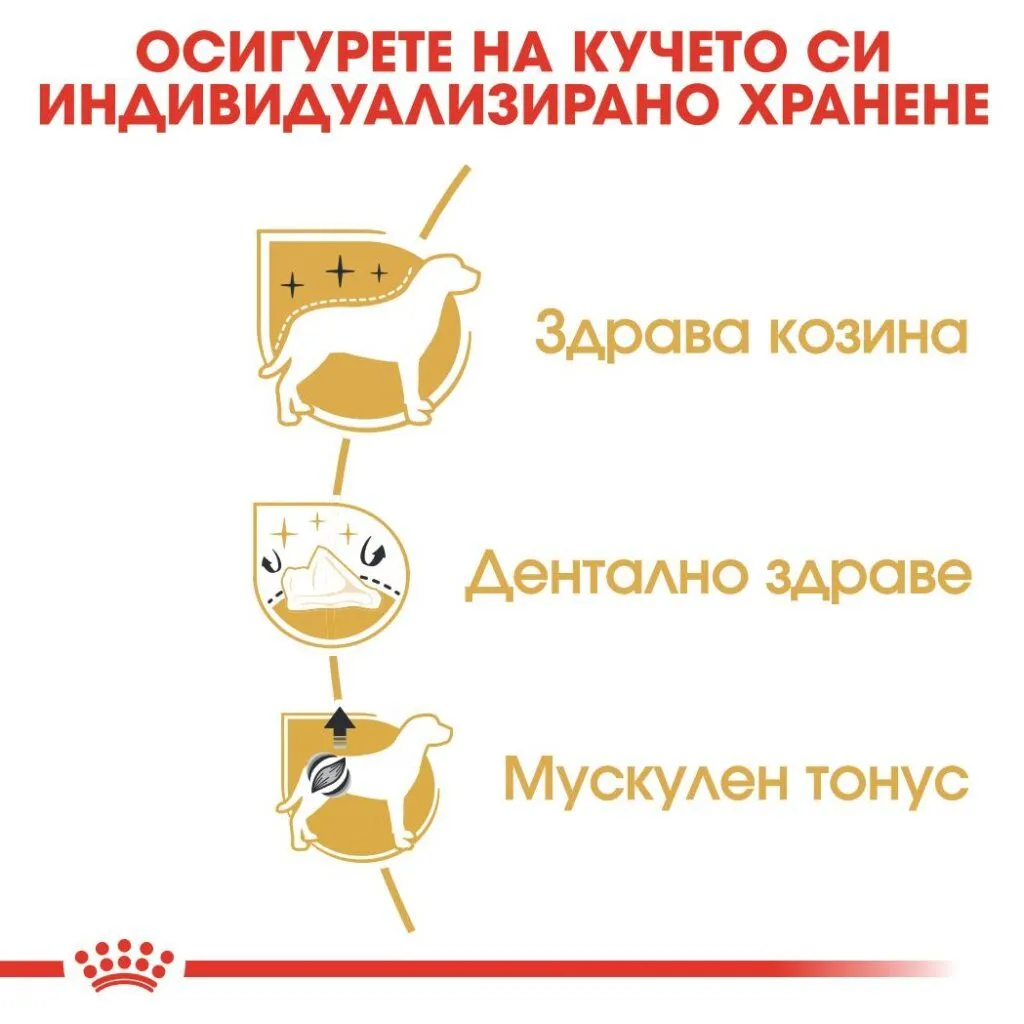 ROYAL CANIN® BHN POODLE 1.5kg - изображение 2