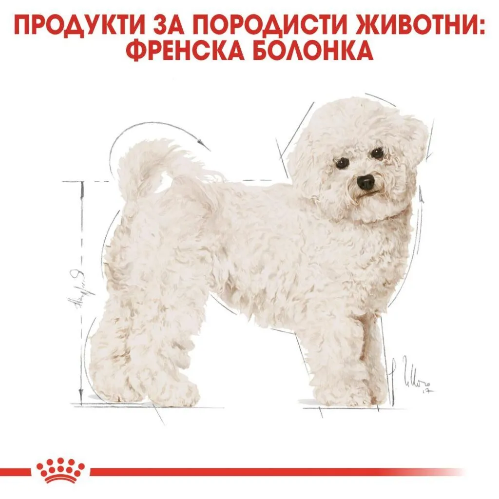 ROYAL CANIN® BHN BICHON FRISE ADULT 1.5kg - изображение 4