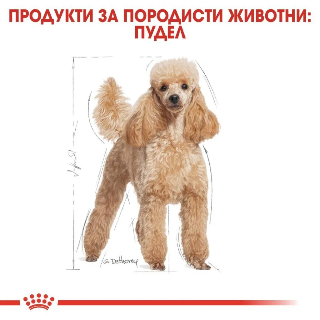 ROYAL CANIN® BHN POODLE 1.5kg - изображение 4