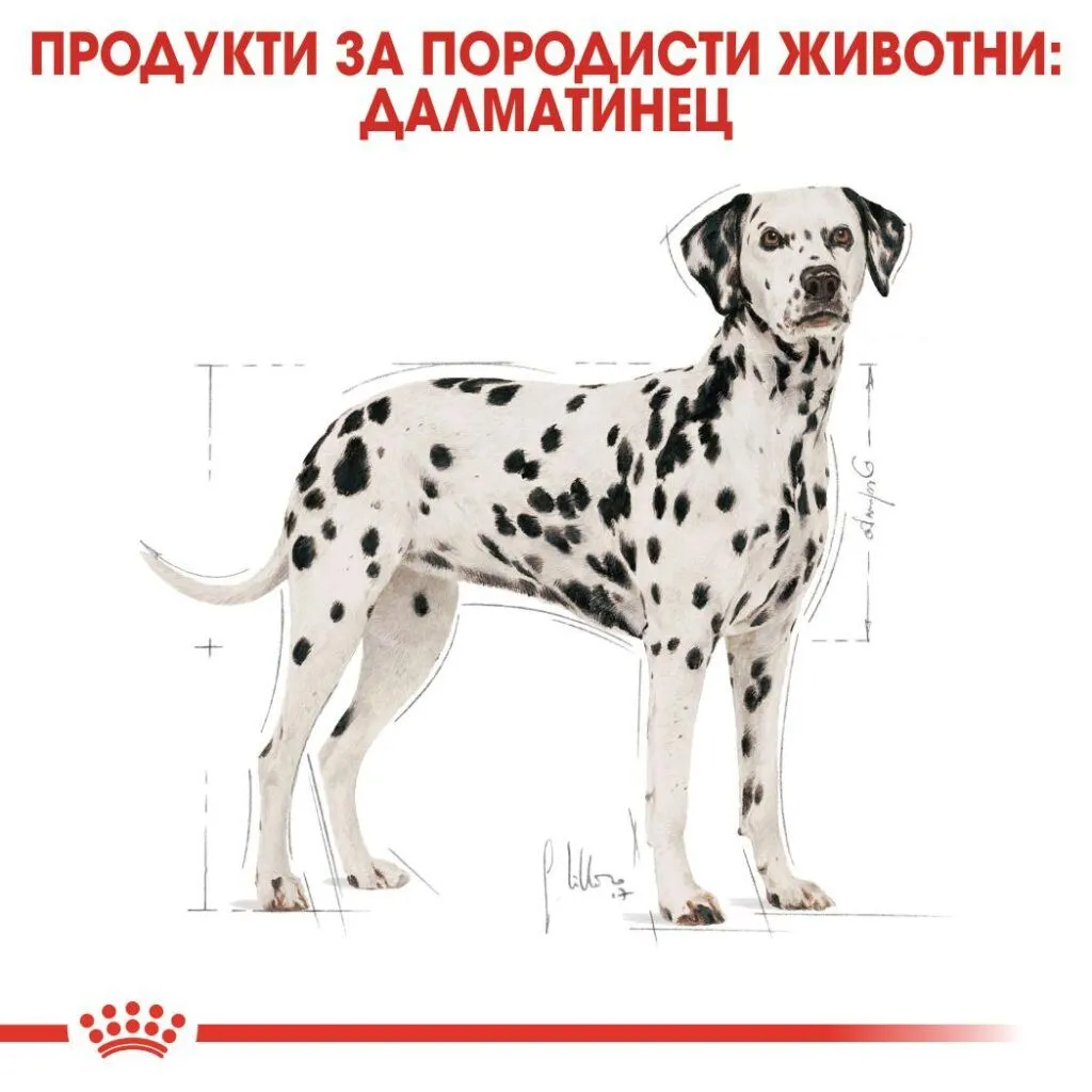 ROYAL CANIN® BHN DALMATIАN ADULT 12кг - изображение 4
