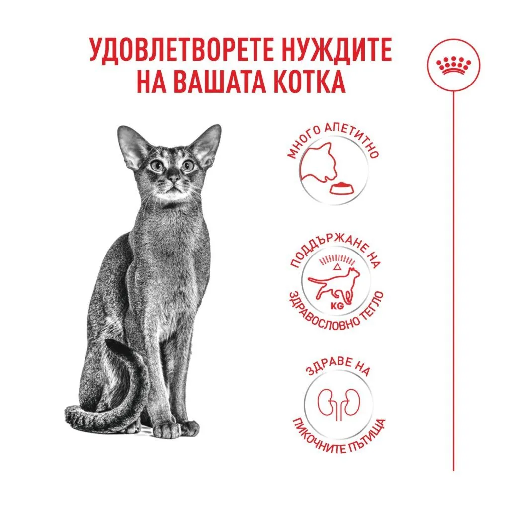 ROYAL CANIN® FHN FUSSY CAT 4 kg - изображение 10