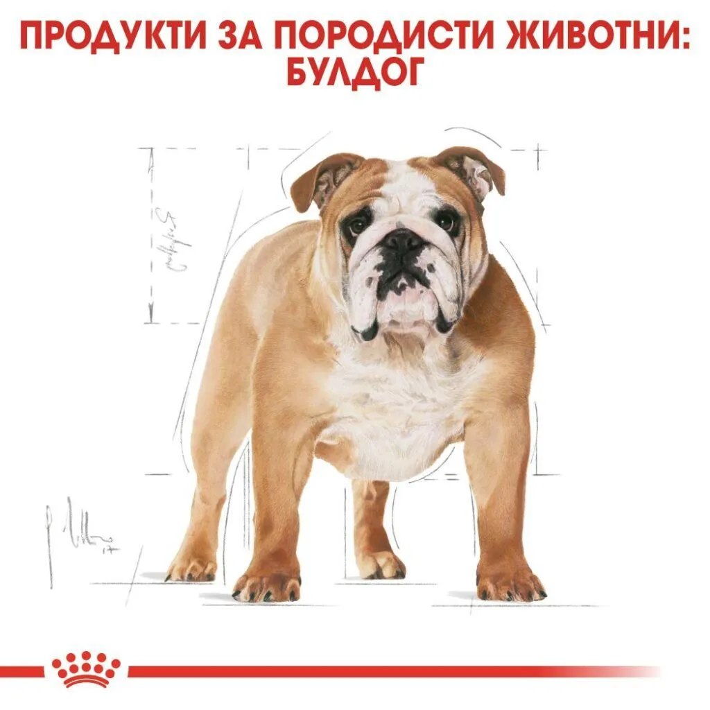 ROYAL CANIN® BHN BULLDOG 12kg - изображение 4