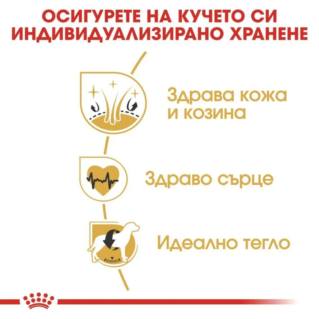 ROYAL CANIN® BHN GOLDEN RETRIEVER 12kg - изображение 2
