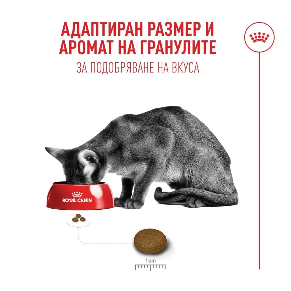 ROYAL CANIN® FHN FUSSY CAT 4 kg - изображение 7