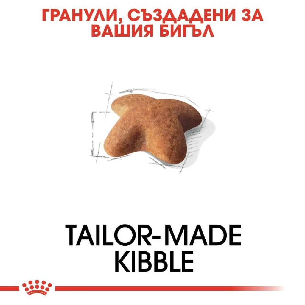 ROYAL CANIN® BHN BEAGLE ADULT 3кг - изображение 3