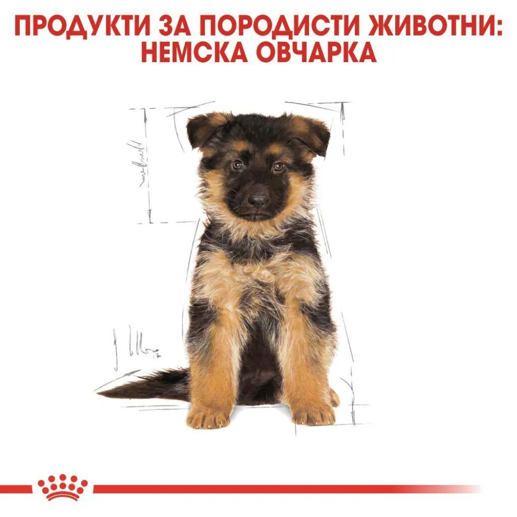 ROYAL CANIN® BHN GERMAN SHEPHERD PUPPY 12кг - изображение 2